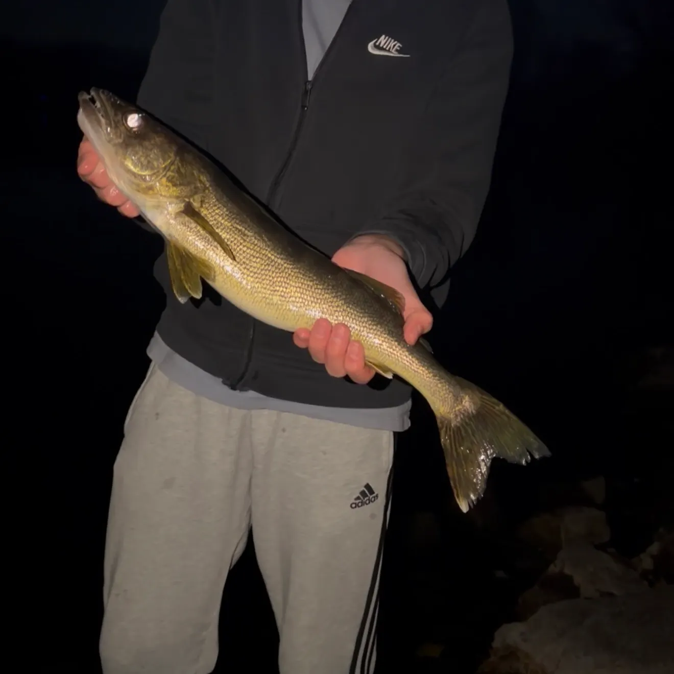Walleye caught on Fishbrain