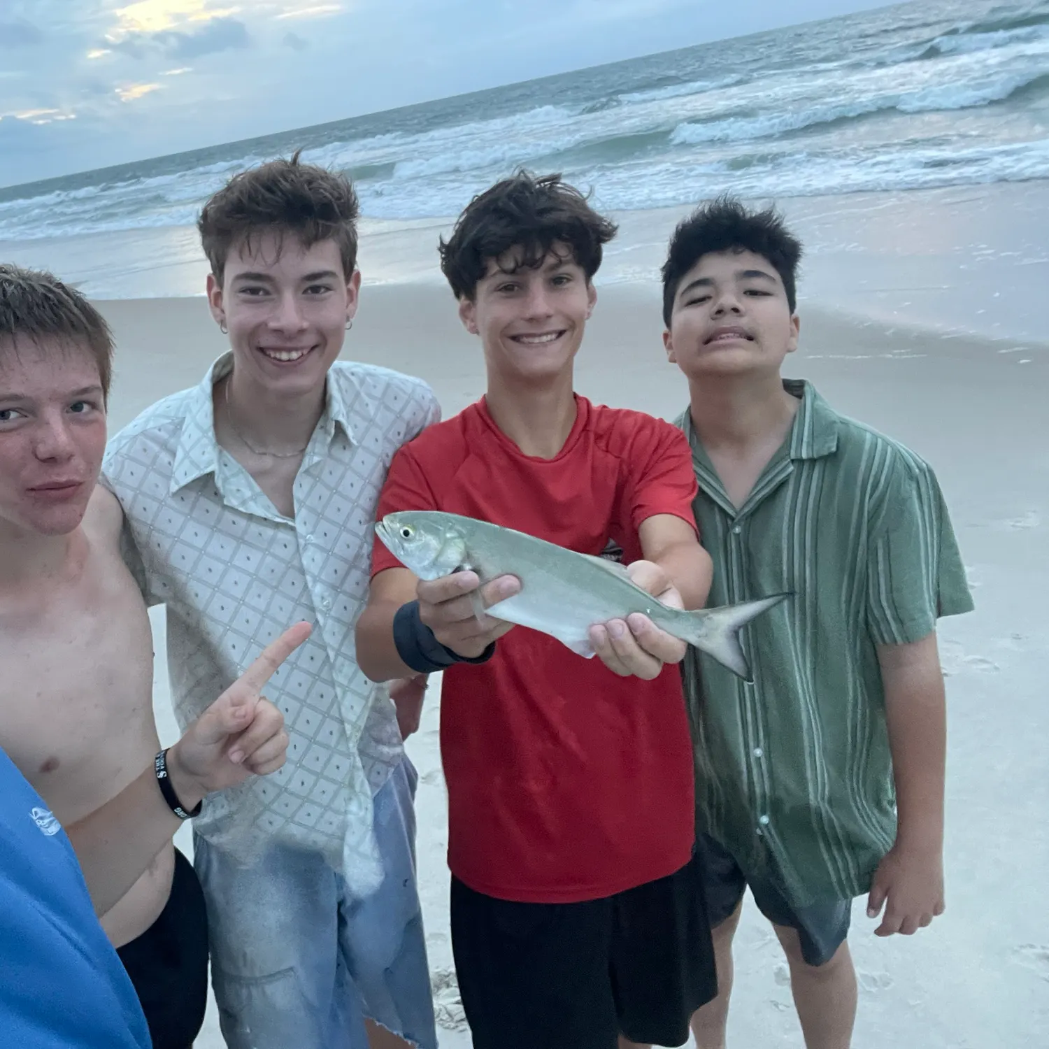 Bluefish caught on Fishbrain