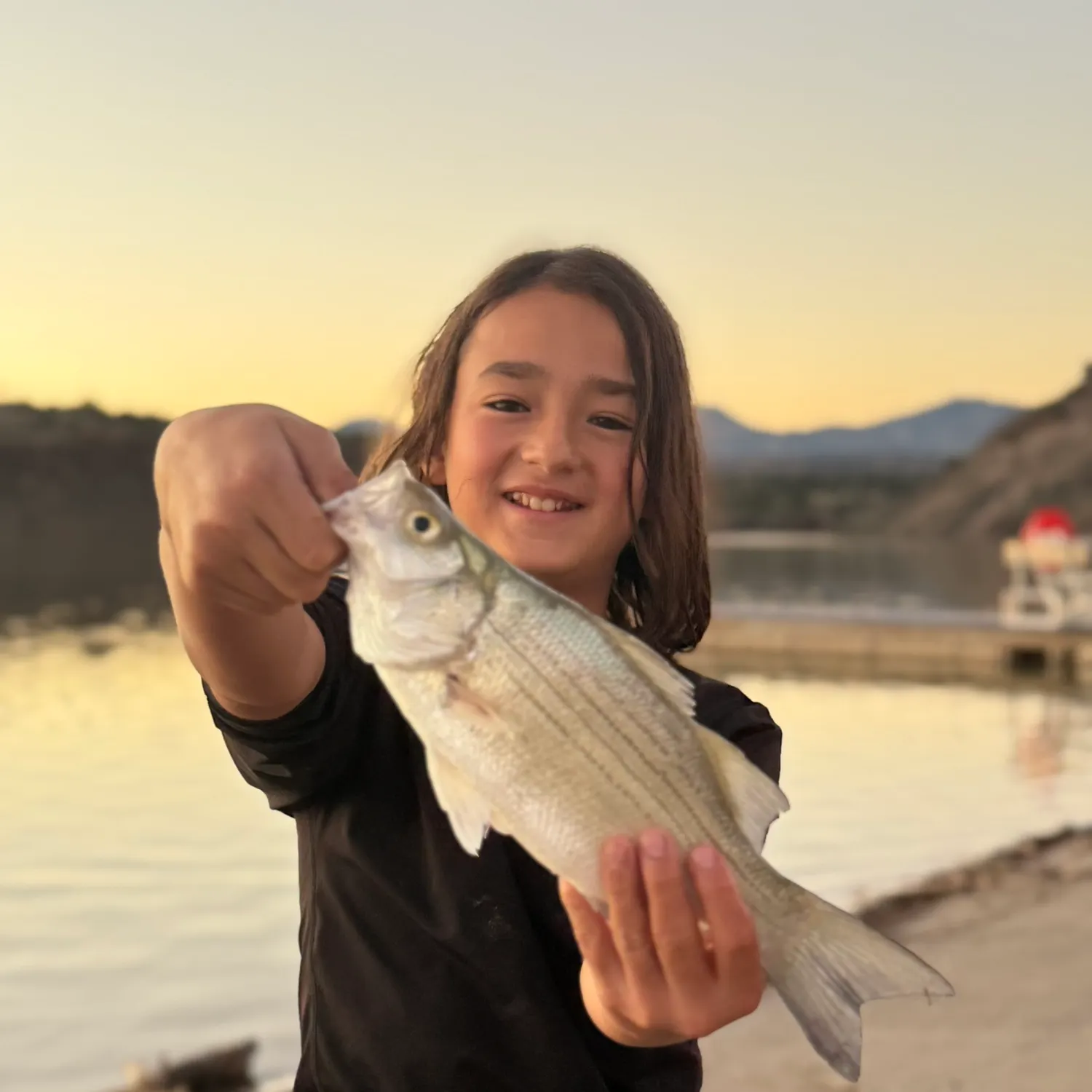 White bass caught on Fishbrain