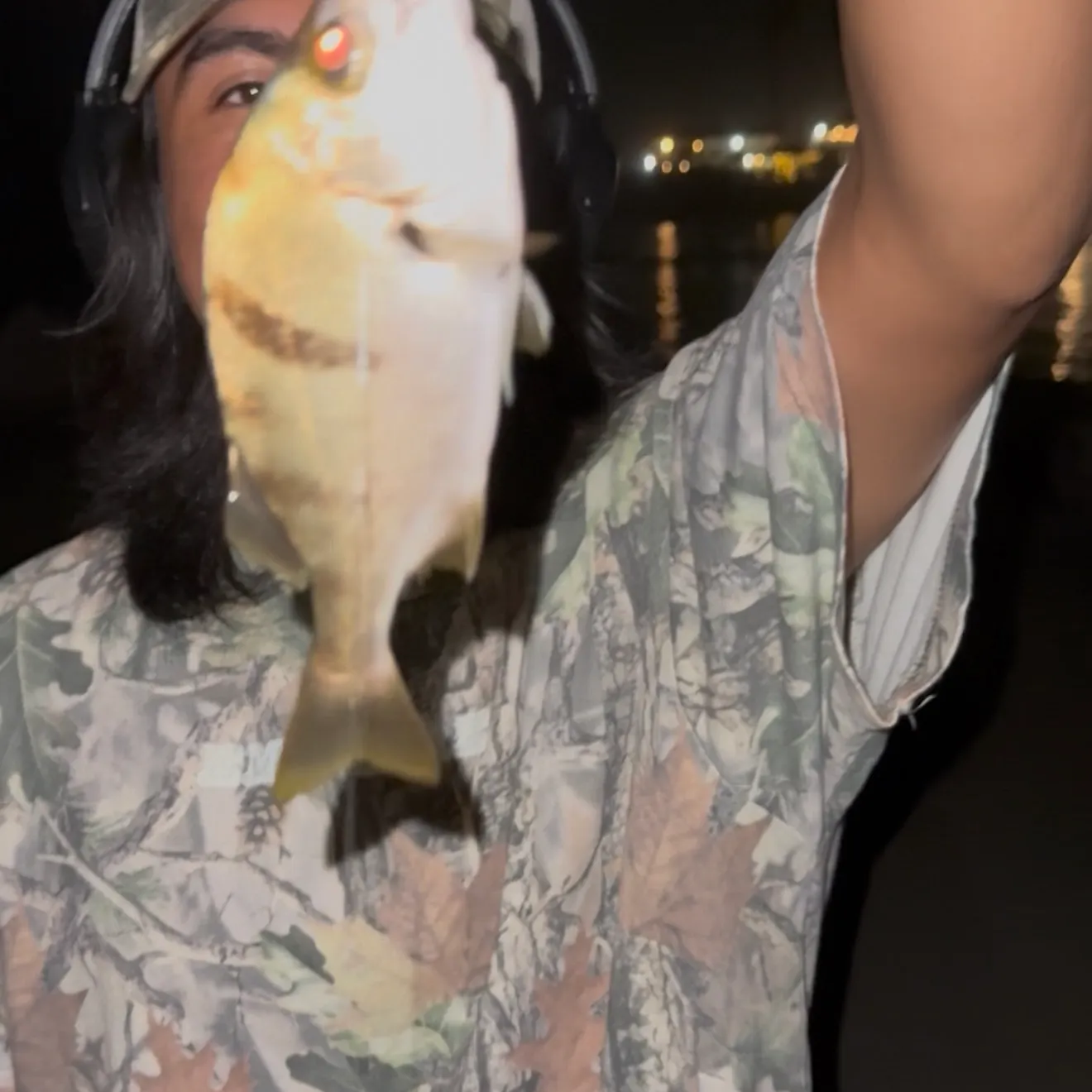 The most recent Sargo catches on Fishbrain