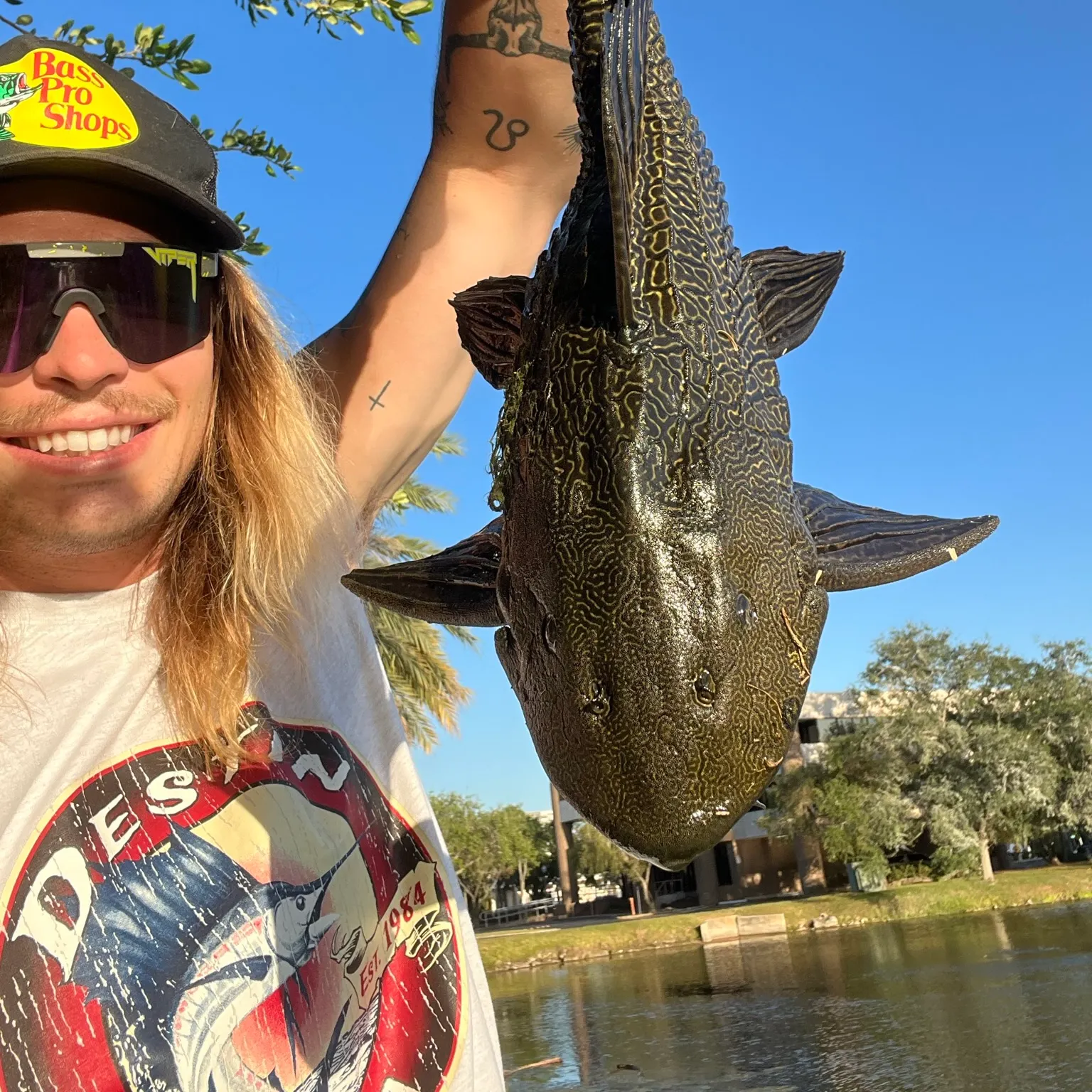 The most recent Orinoco sailfin catfish catches on Fishbrain