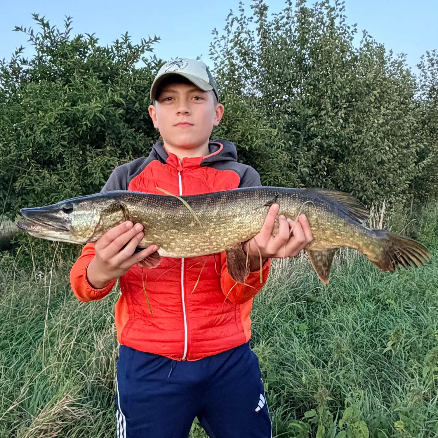 Northern pike caught on Fishbrain