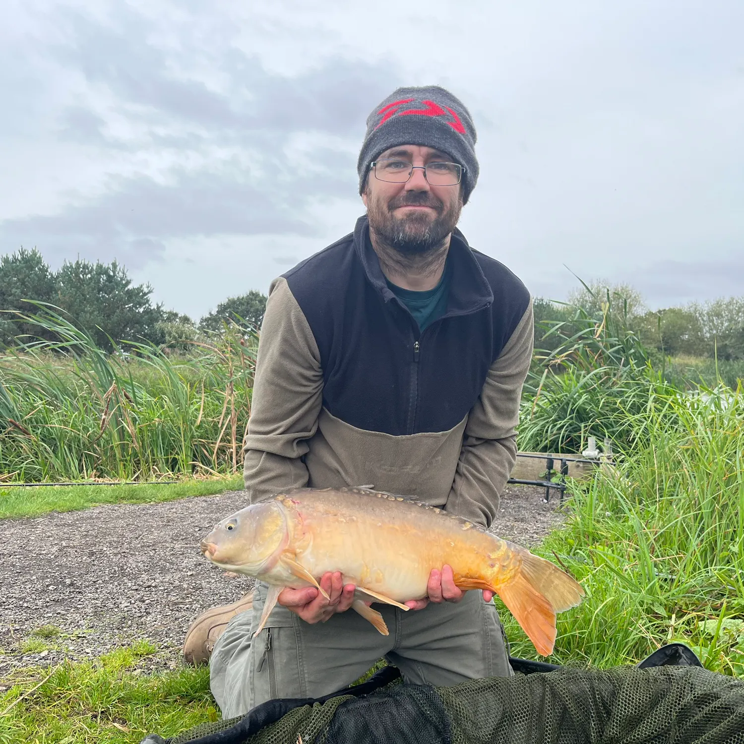 Mirror carp caught on Fishbrain