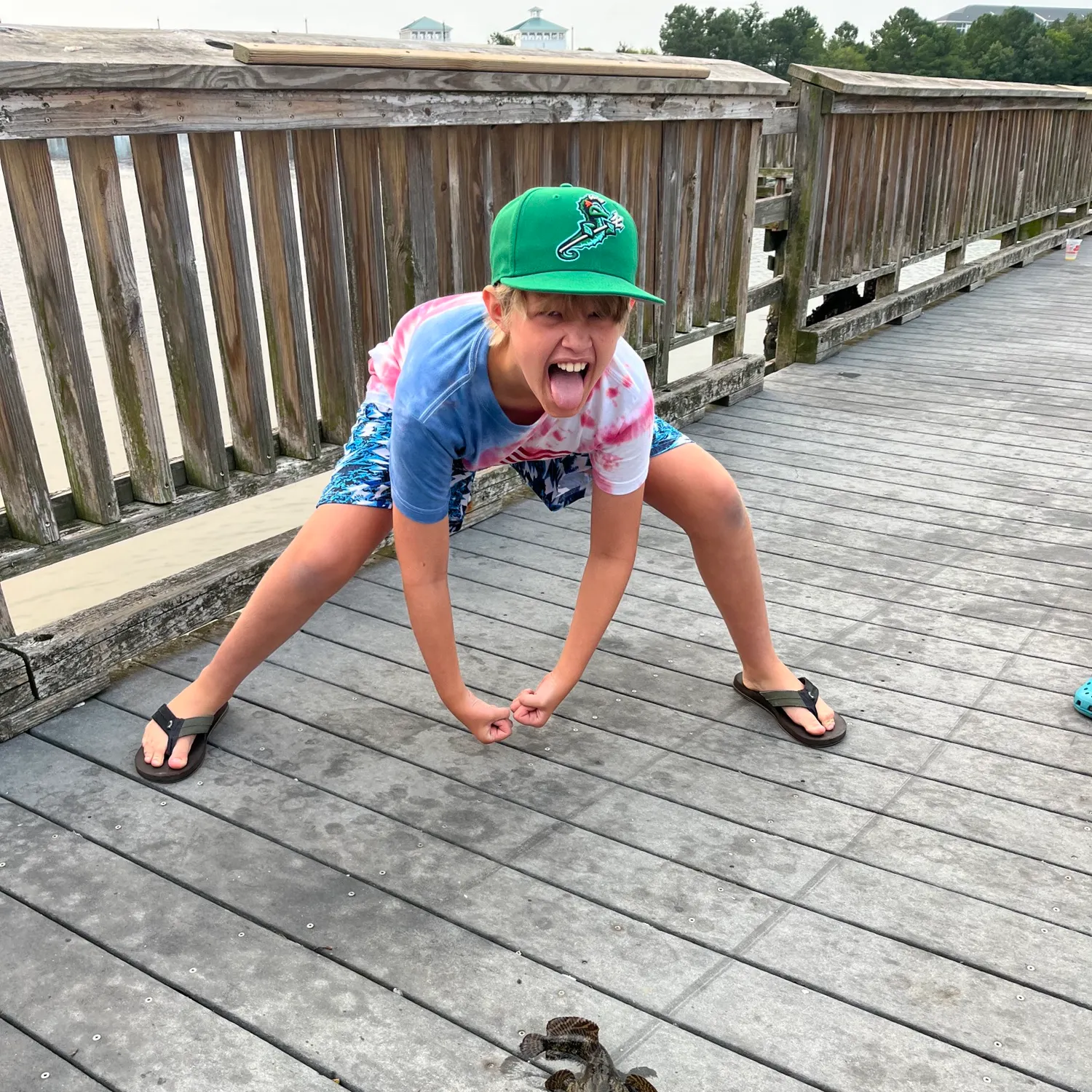 The most recent Boulenger's toadfish catches on Fishbrain