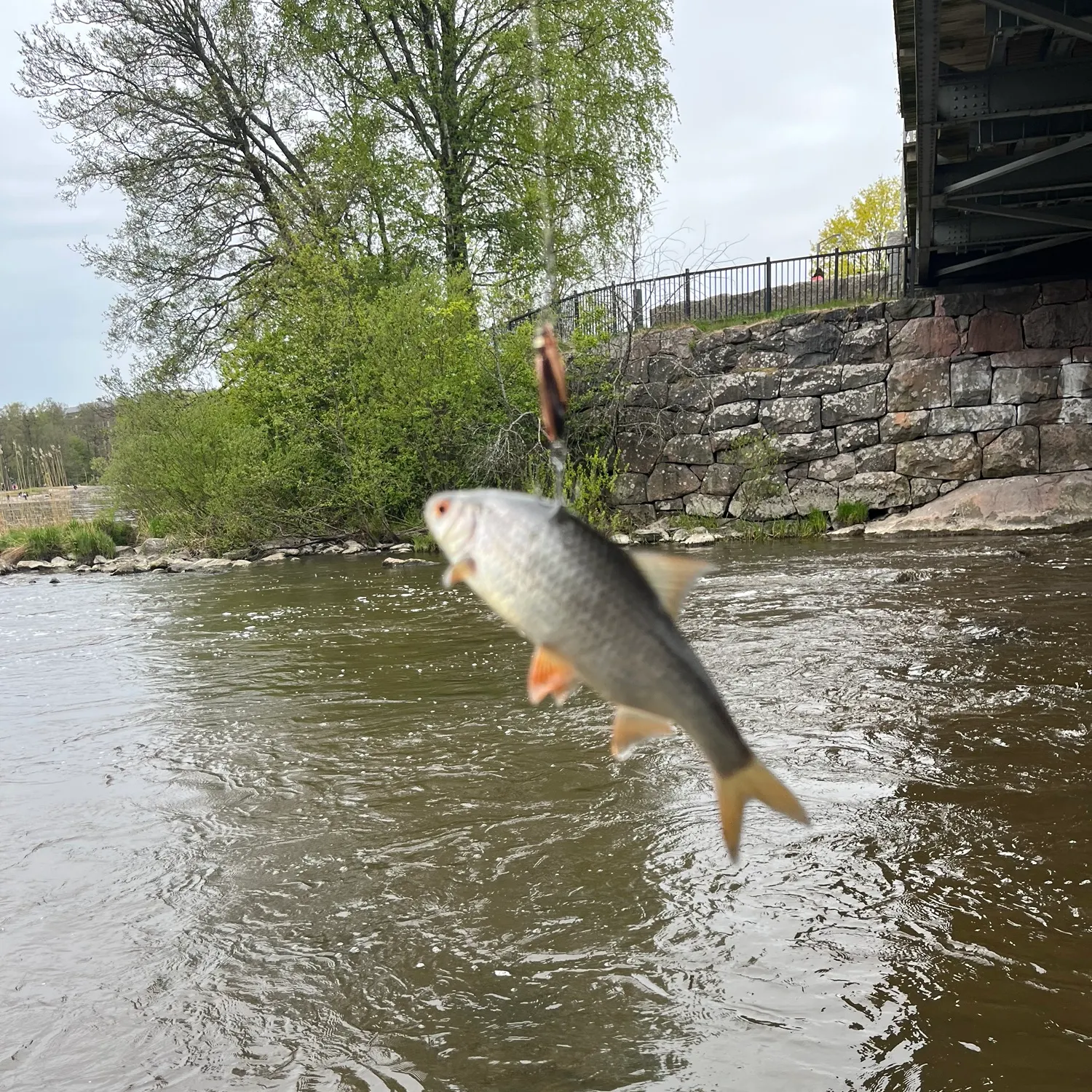 catch