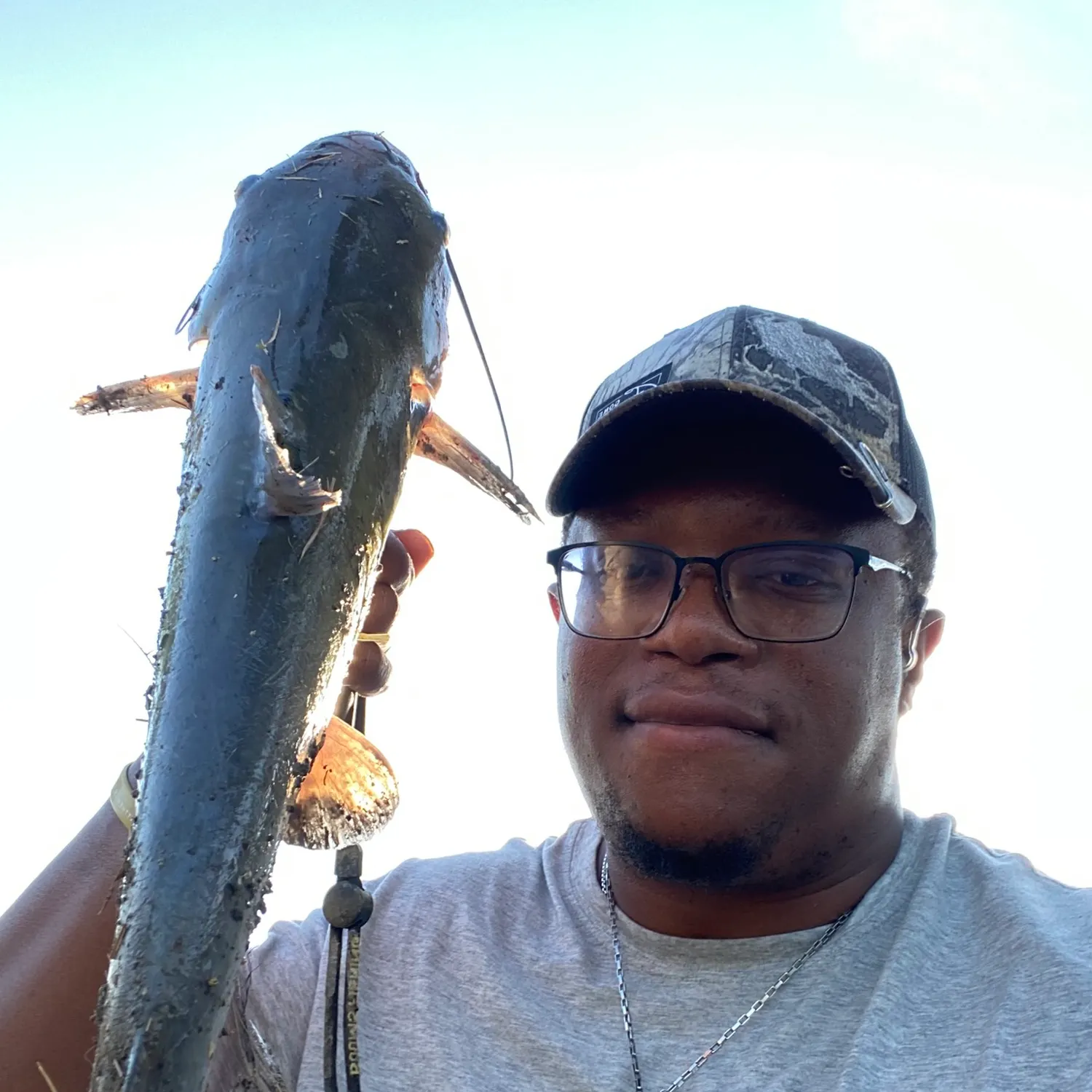 The most recent Shovelnose sturgeon catches on Fishbrain