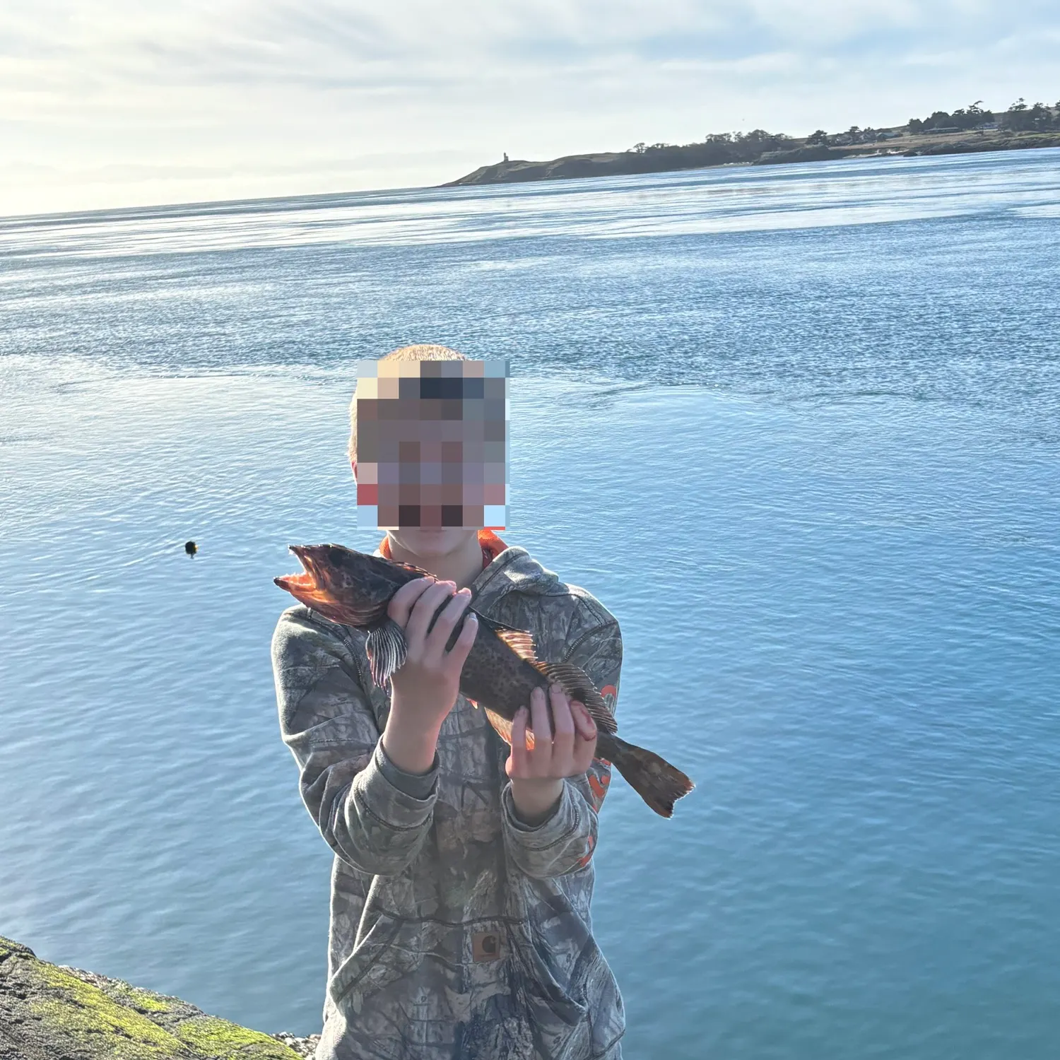 The most recent Lingcod catches on Fishbrain