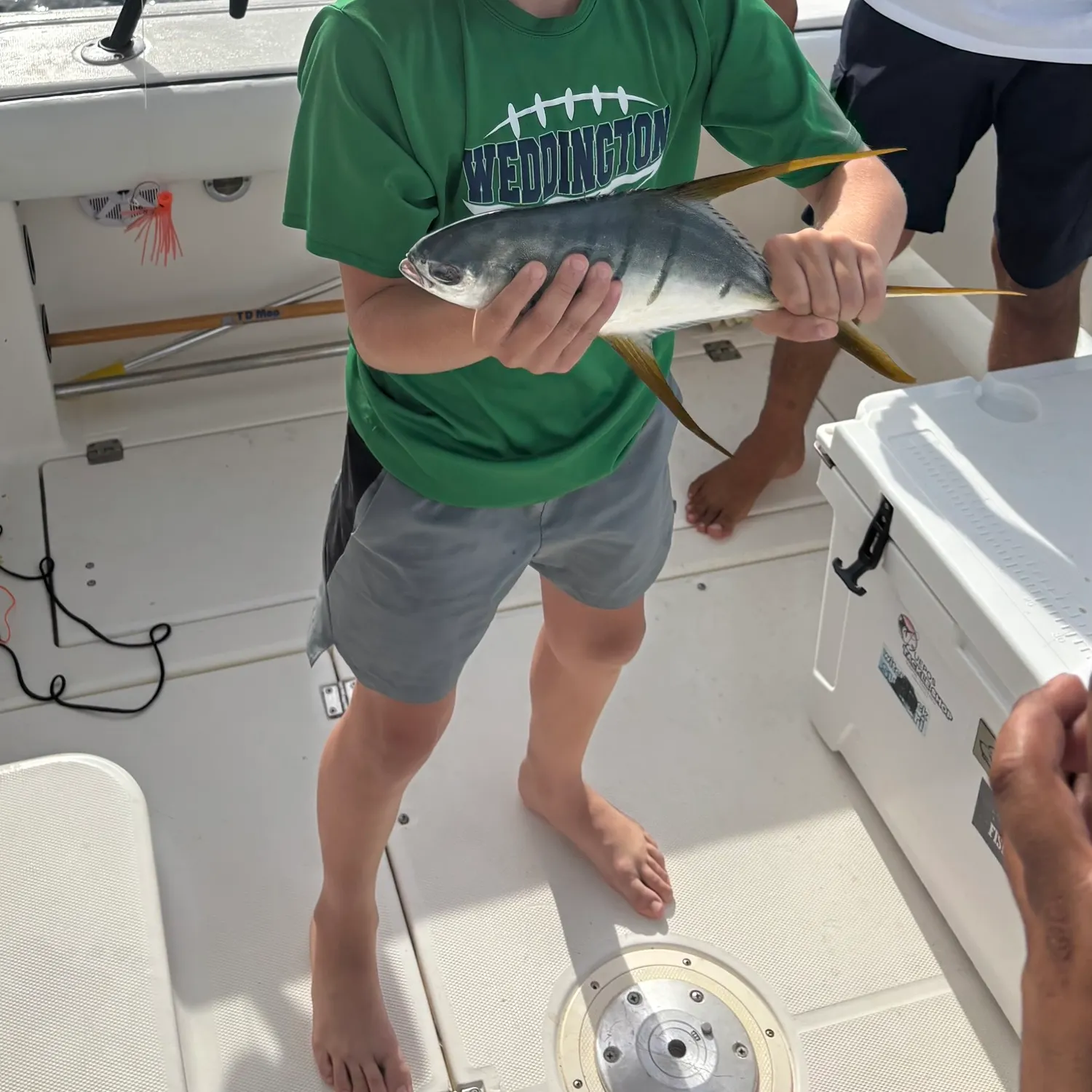 The most recent Gafftopsail pompano catches on Fishbrain
