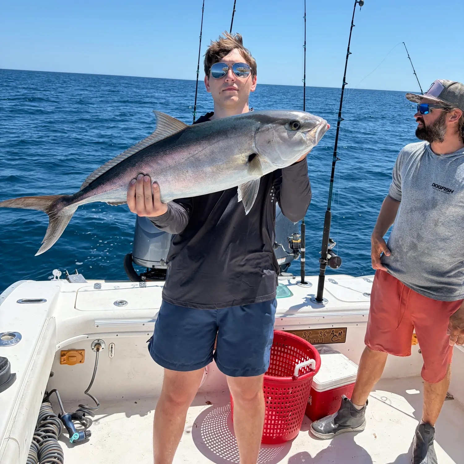 The most recent Greater amberjack catches on Fishbrain