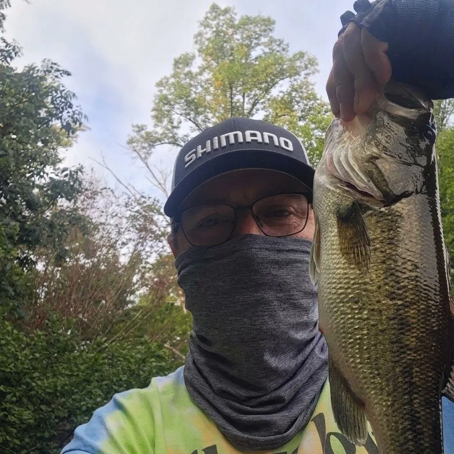 Largemouth bass caught on Fishbrain