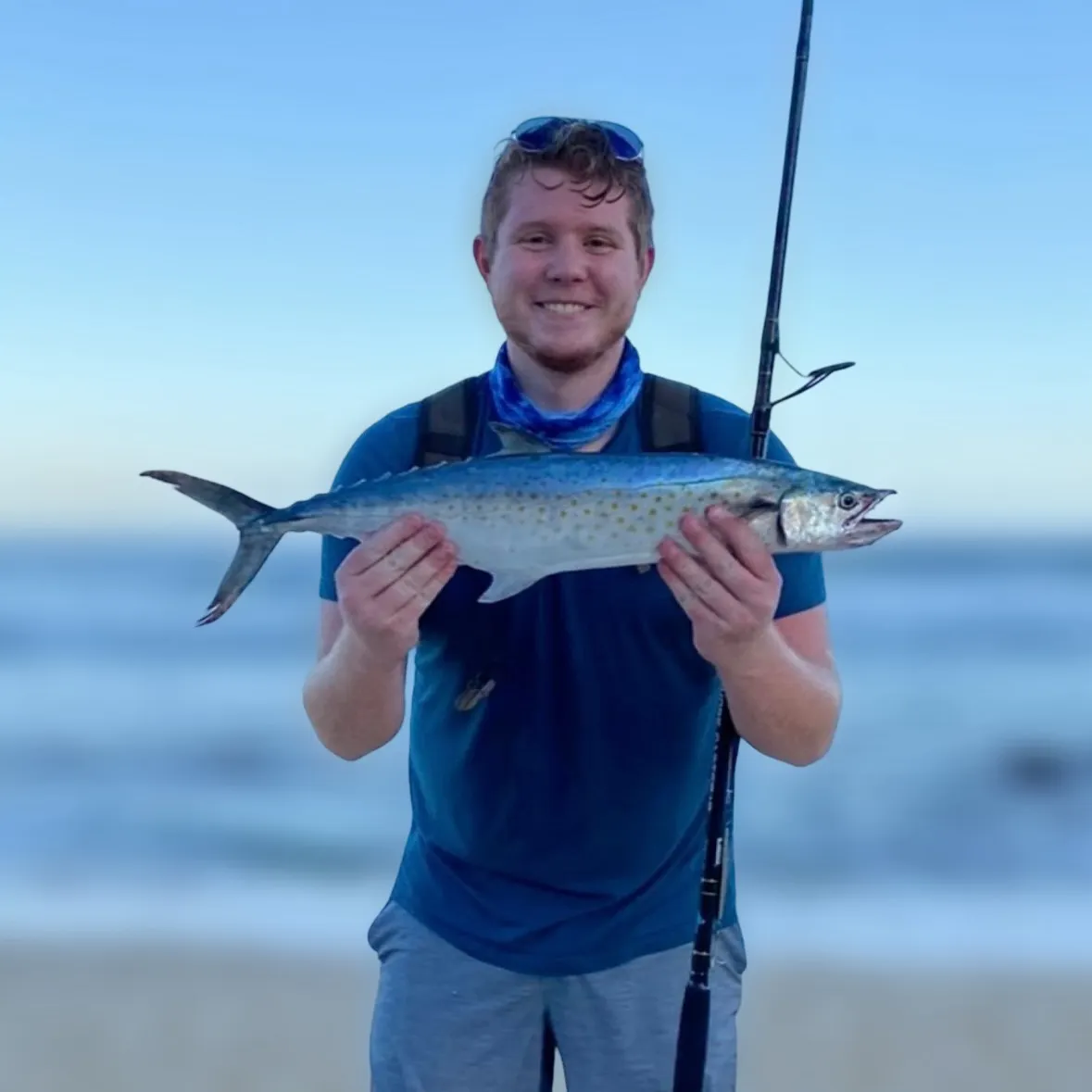 The most recent Serra Spanish mackerel catches on Fishbrain