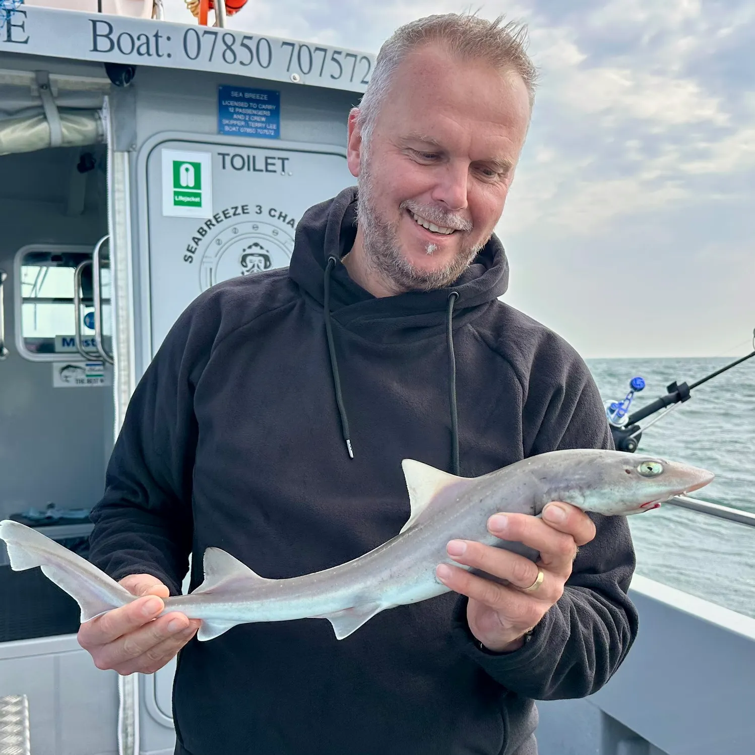 The most recent Starry smooth-hound catches on Fishbrain