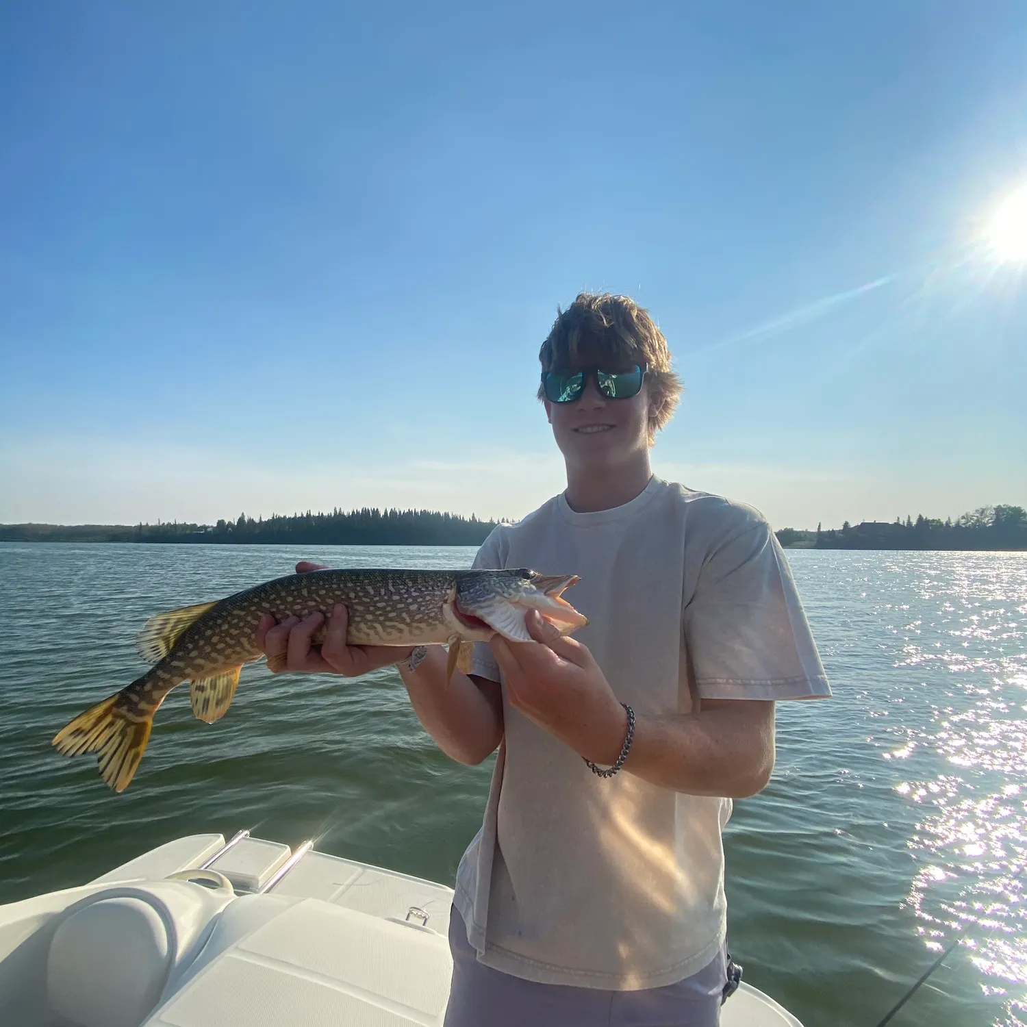 Northern pike caught on Fishbrain