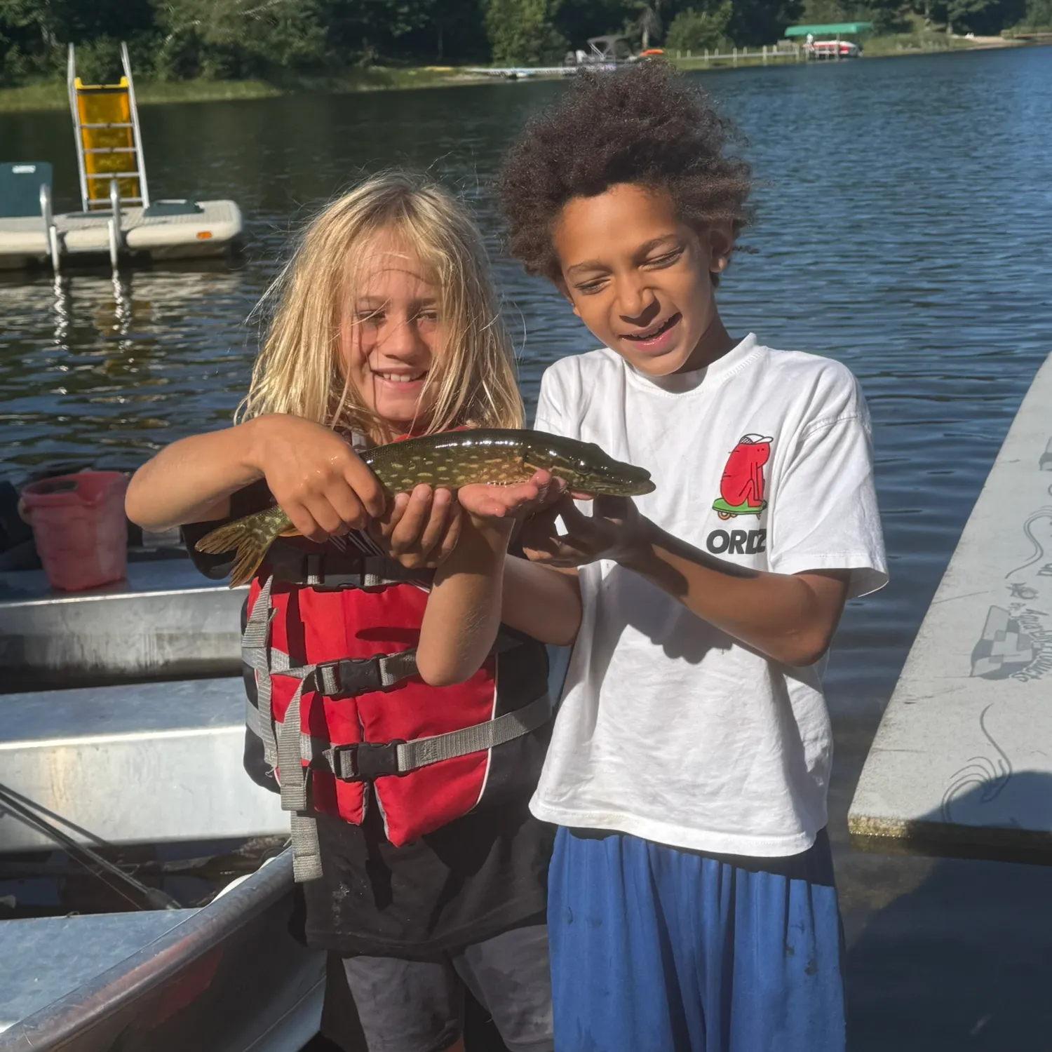 Fish caught on Fishbrain