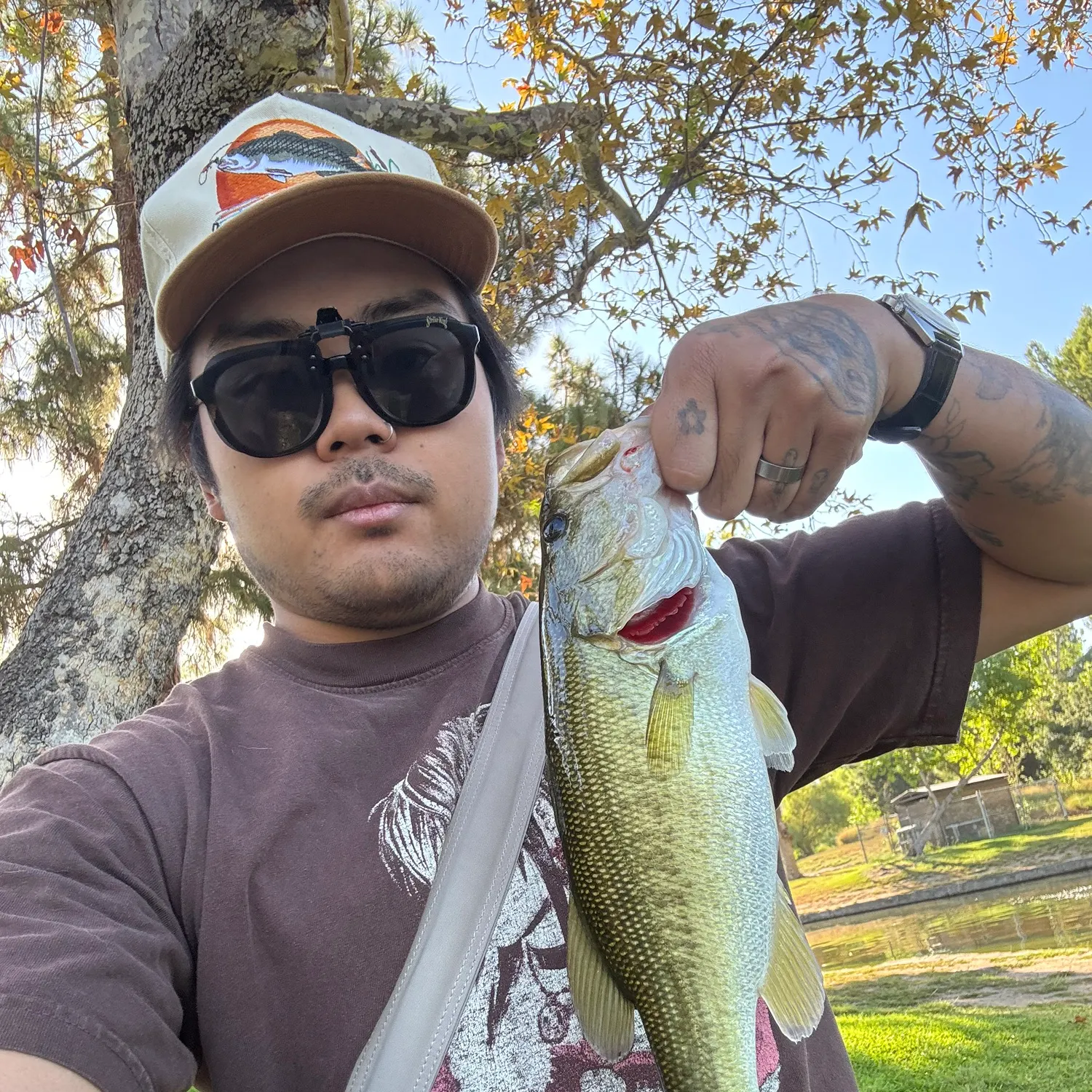 Largemouth bass caught on Fishbrain