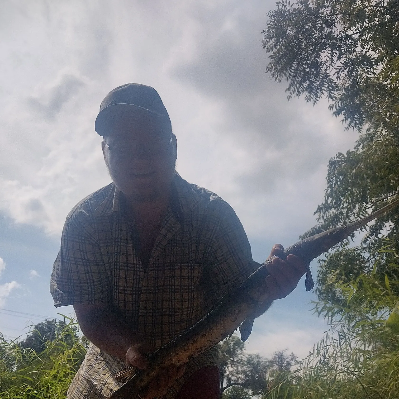 Longnose gar caught on Fishbrain