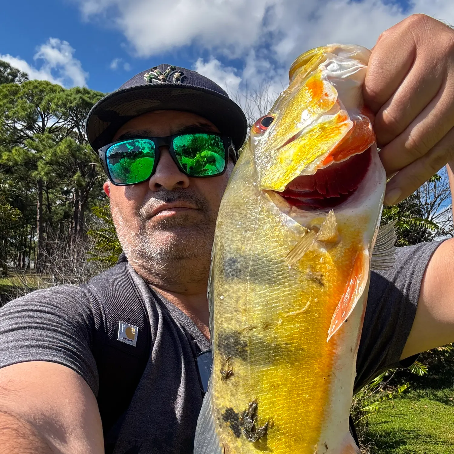 The most recent Butterfly peacock bass catches on Fishbrain