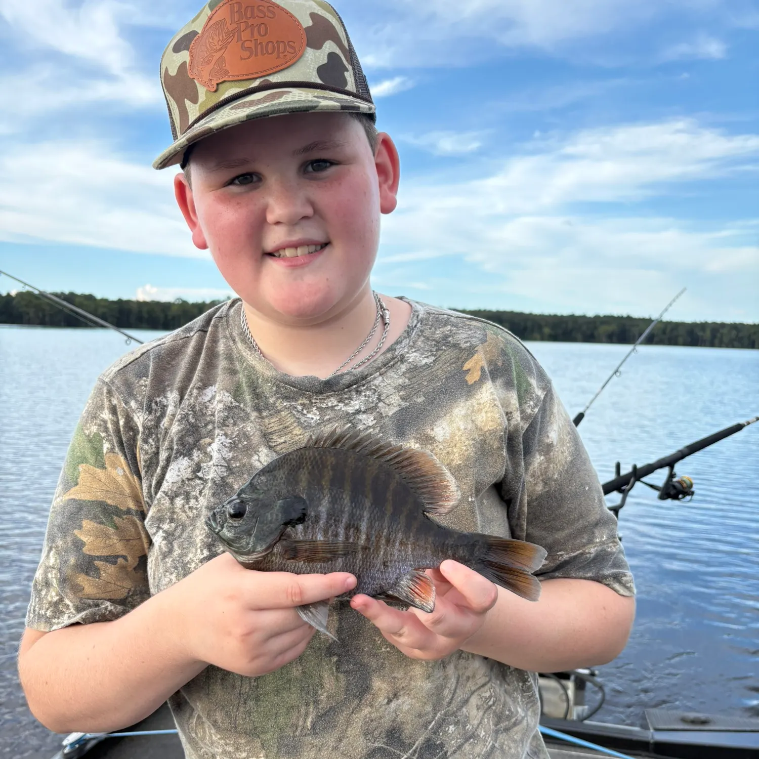The most recent Coppernose bluegill catches on Fishbrain