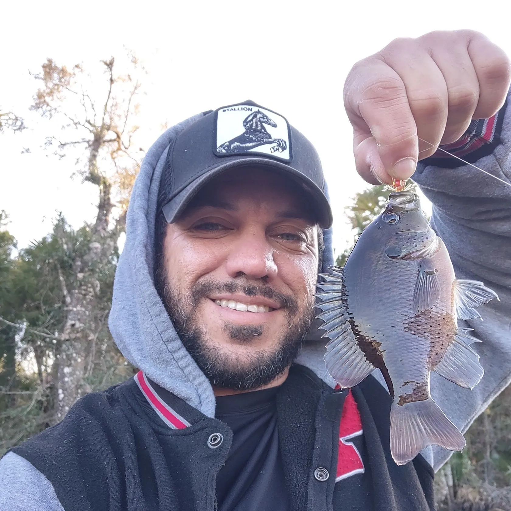 The most recent Spotted sunfish catches on Fishbrain