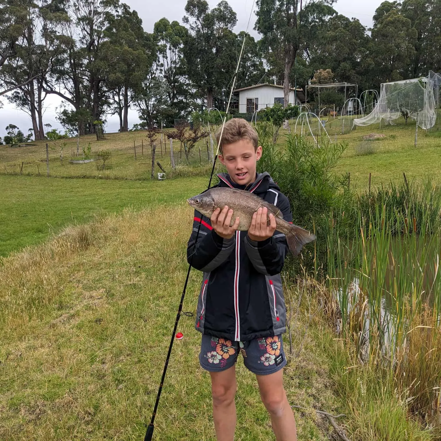 The most recent Bidyan perch catches on Fishbrain