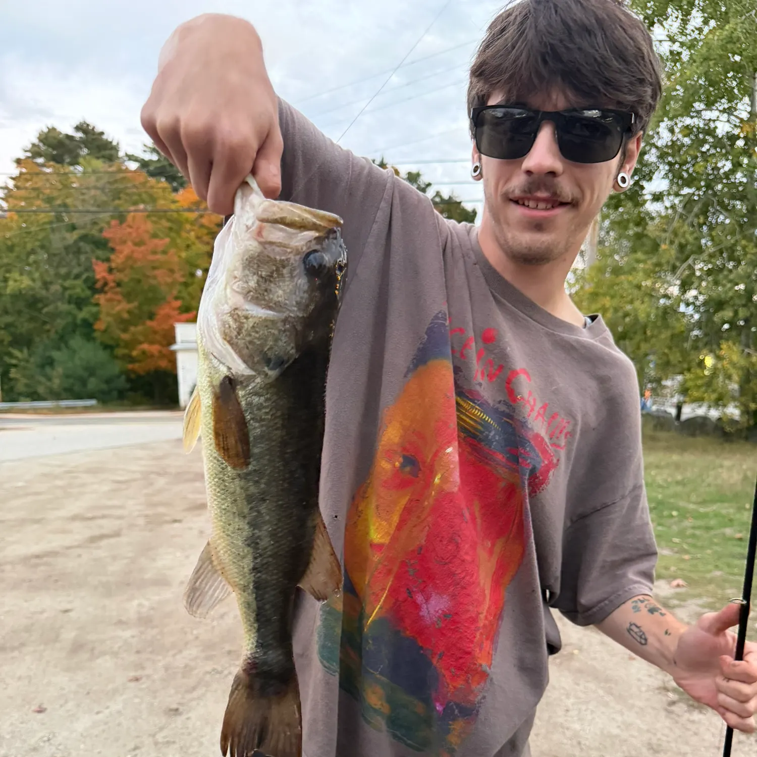 Largemouth bass caught on Fishbrain