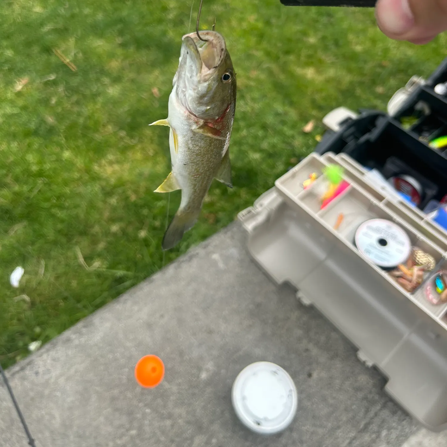 catch