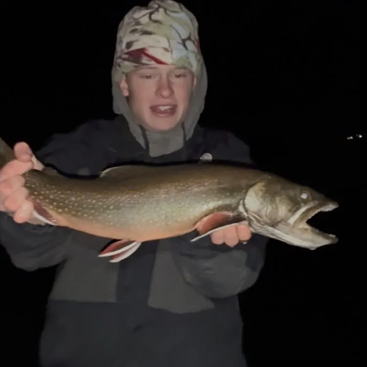 The most recent Splake catches on Fishbrain