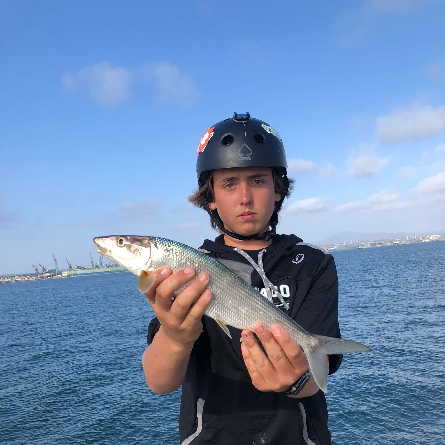 The most recent West Atlantic bonefish catches on Fishbrain