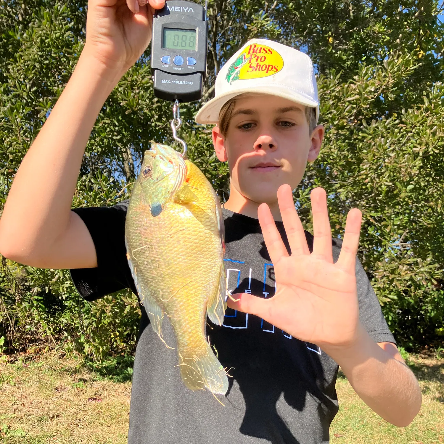 Bluegill caught on Fishbrain