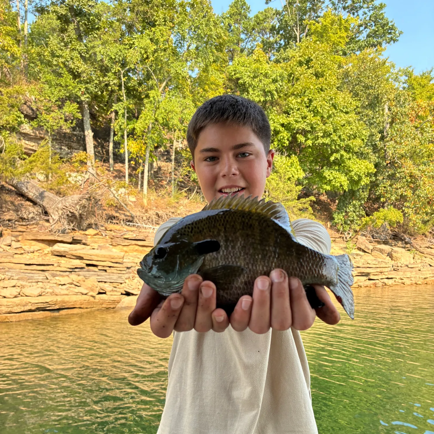 Bluegill caught on Fishbrain