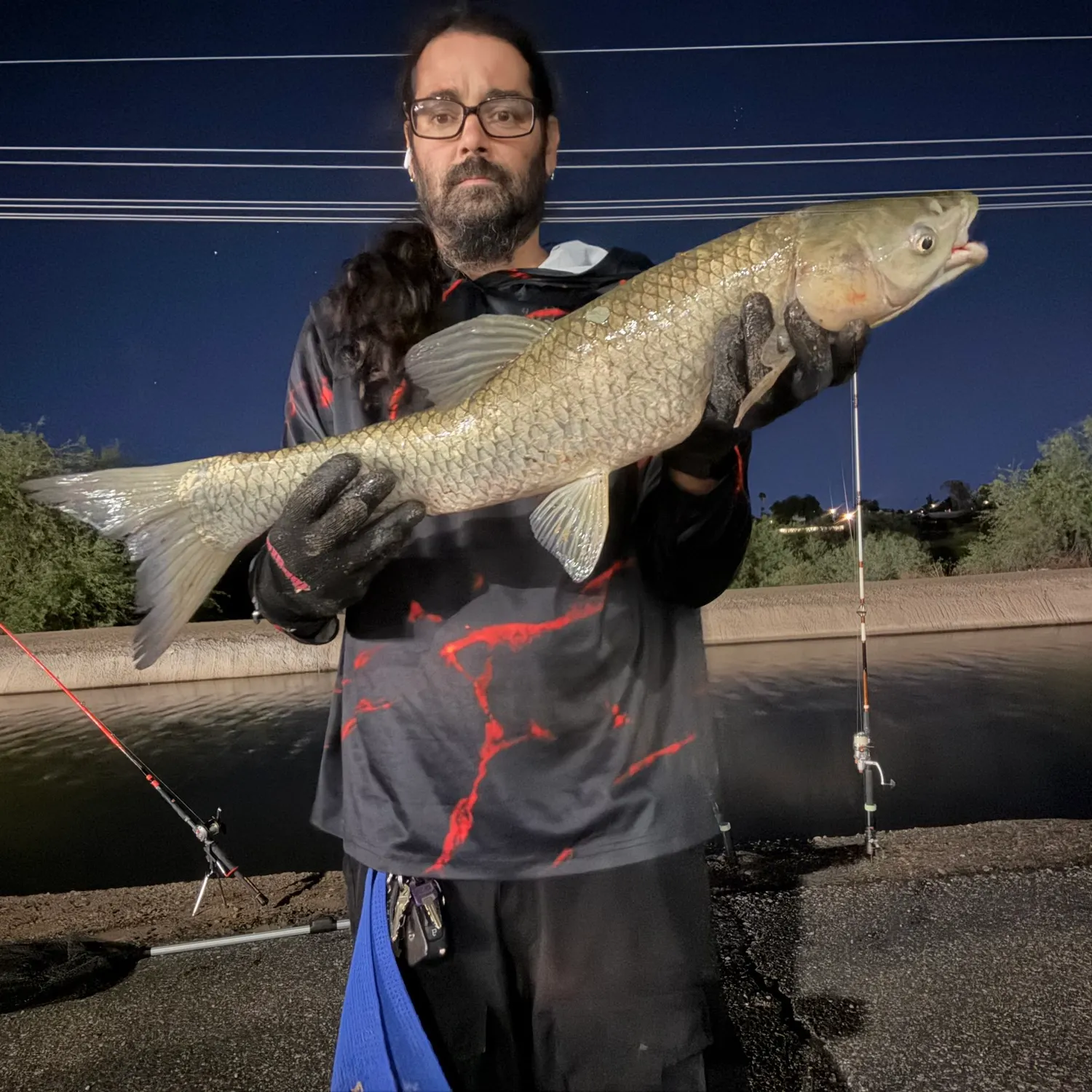 Grass carp caught on Fishbrain