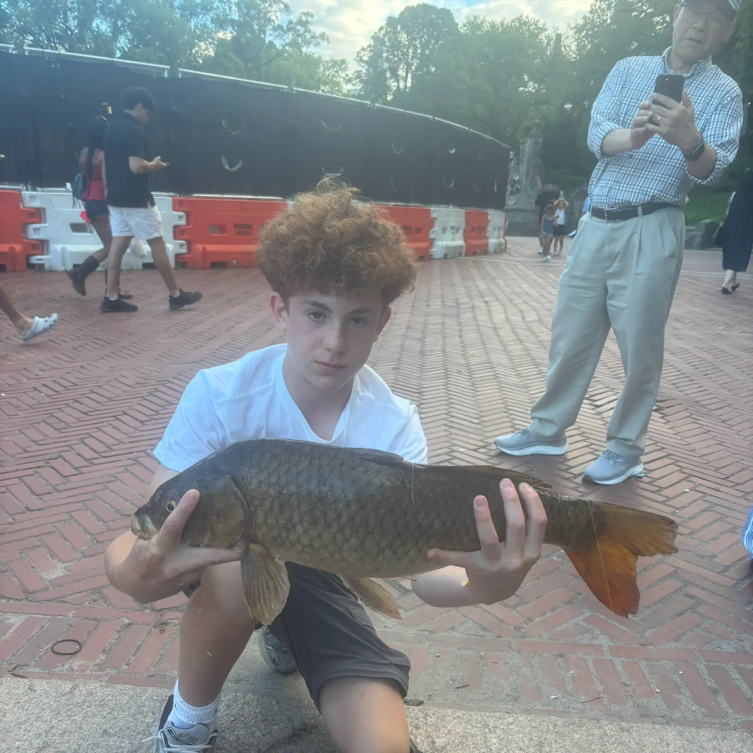 Common carp caught on Fishbrain