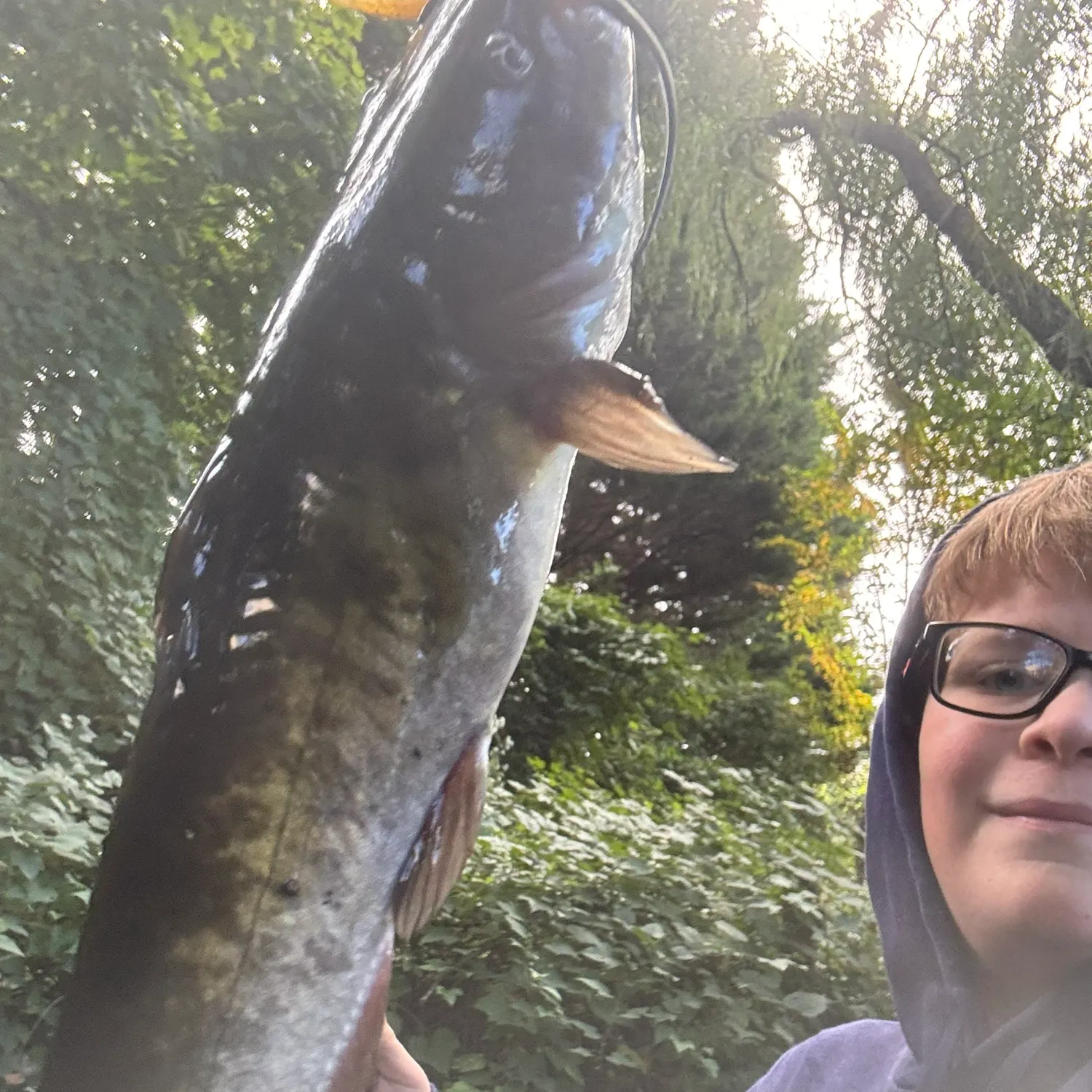 Channel catfish caught on Fishbrain