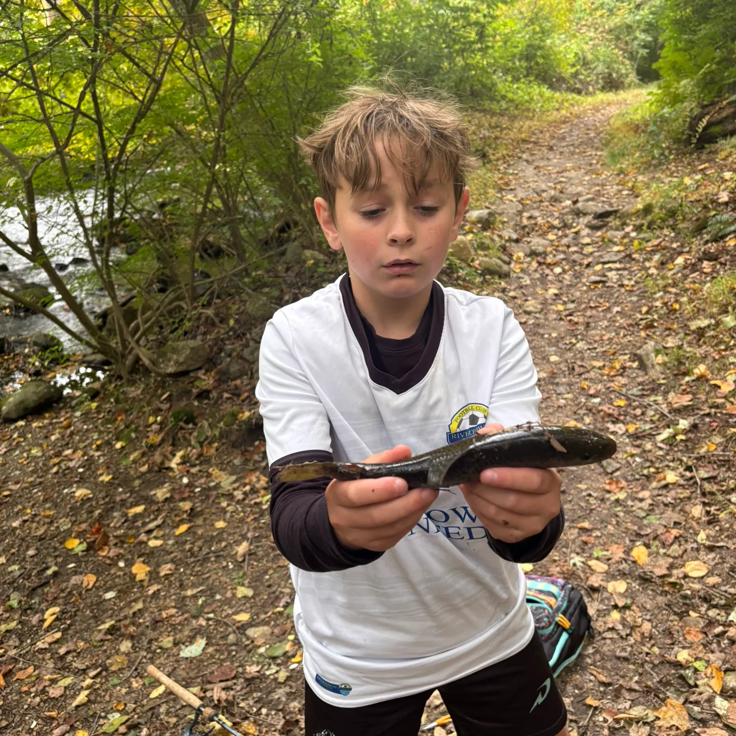 Brook trout caught on Fishbrain