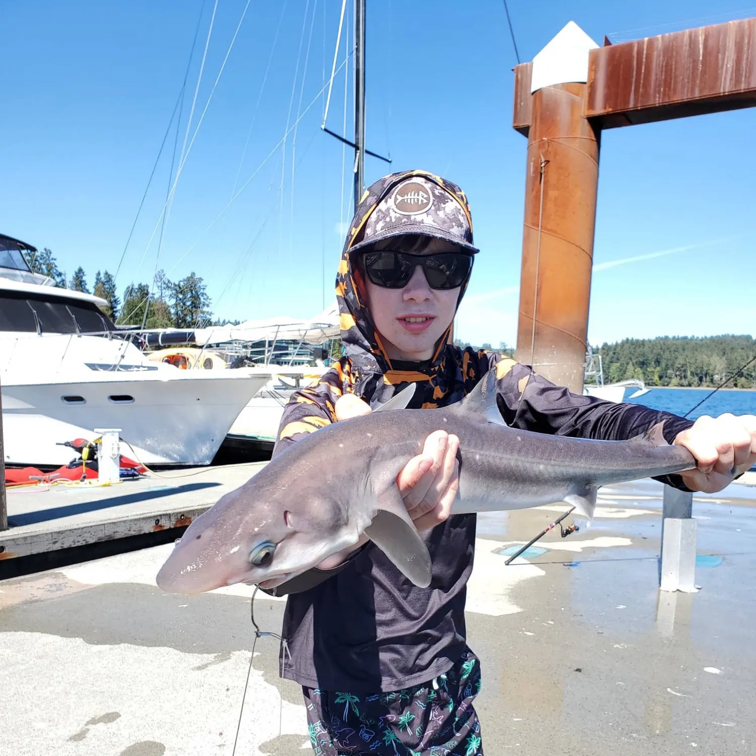 Pacific spiny dogfish caught on Fishbrain