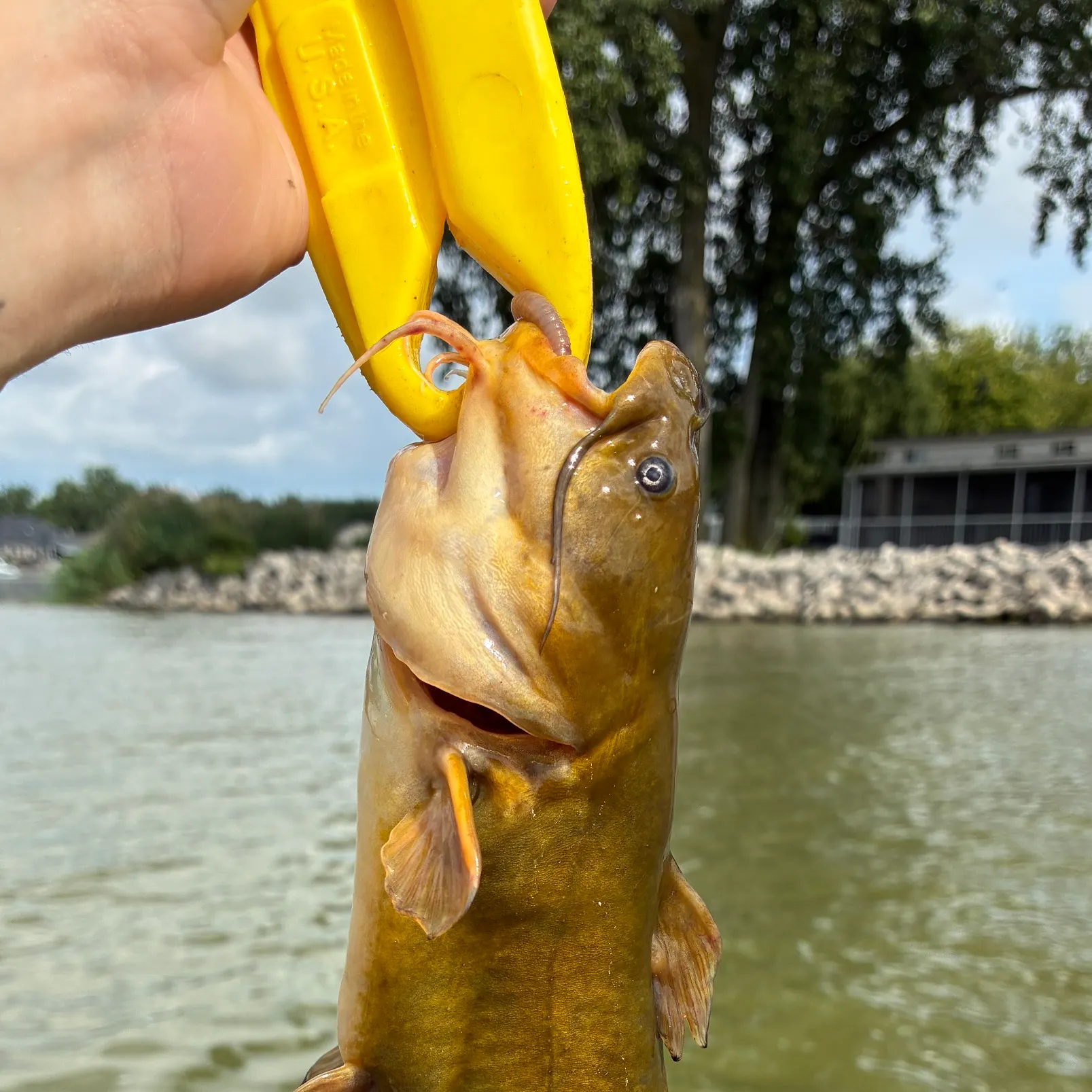 catch