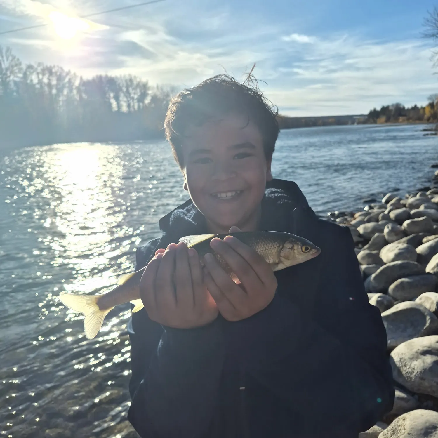 The most recent Mountain whitefish catches on Fishbrain
