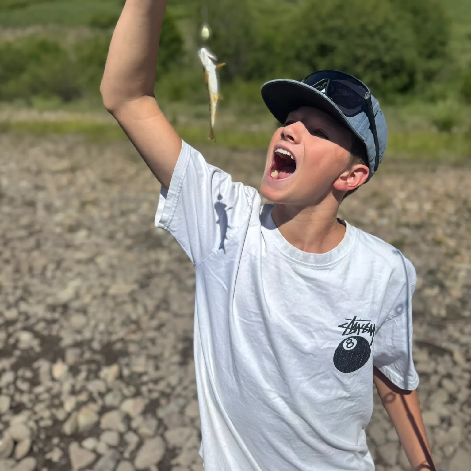 The most recent Whale shark catches on Fishbrain