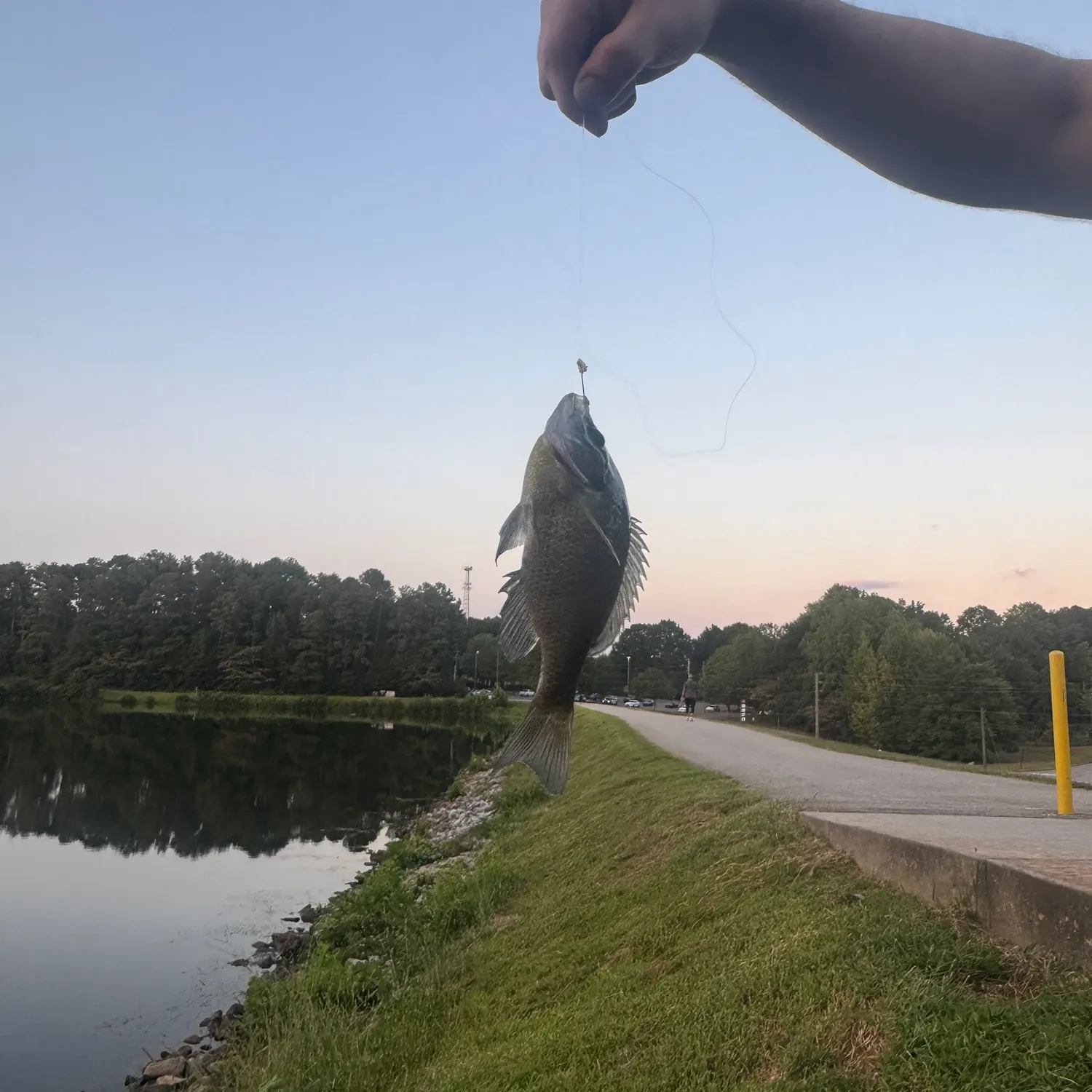 catch