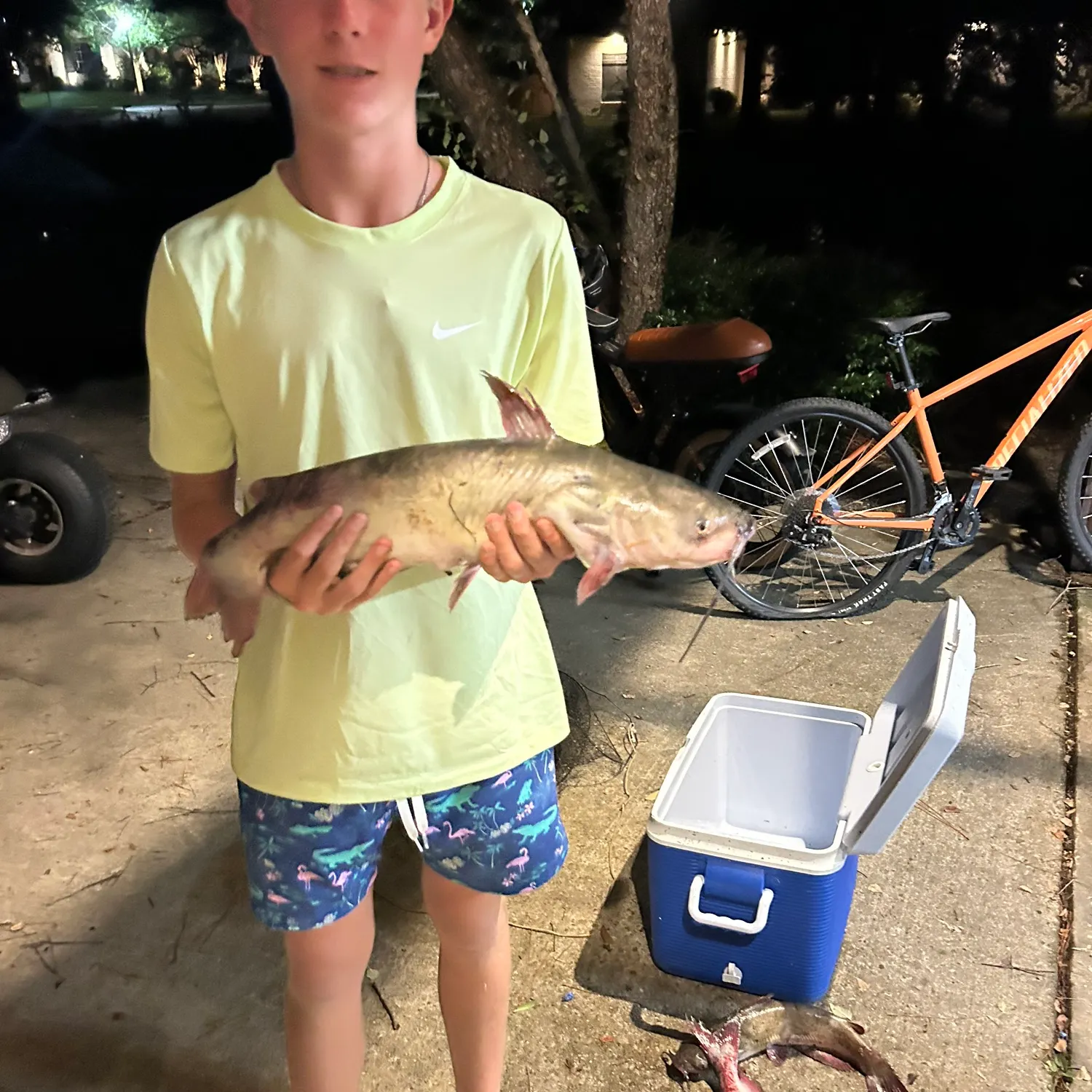 recently logged catches