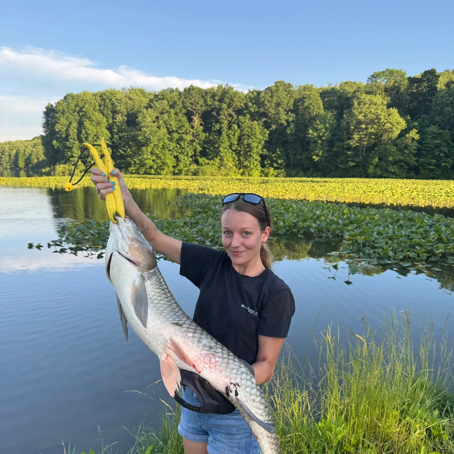The most recent Grass carp catches on Fishbrain