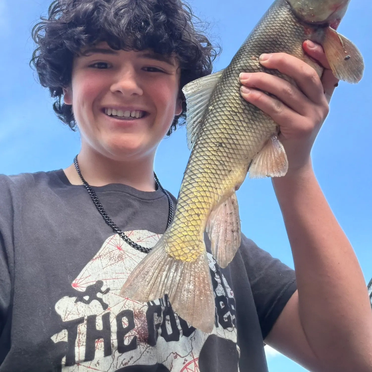 The most recent Utah sucker catches on Fishbrain