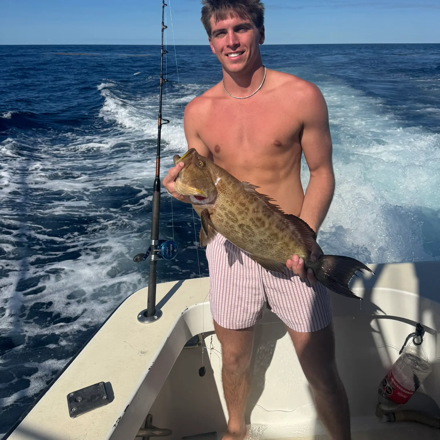 The most recent Nassau grouper catches on Fishbrain