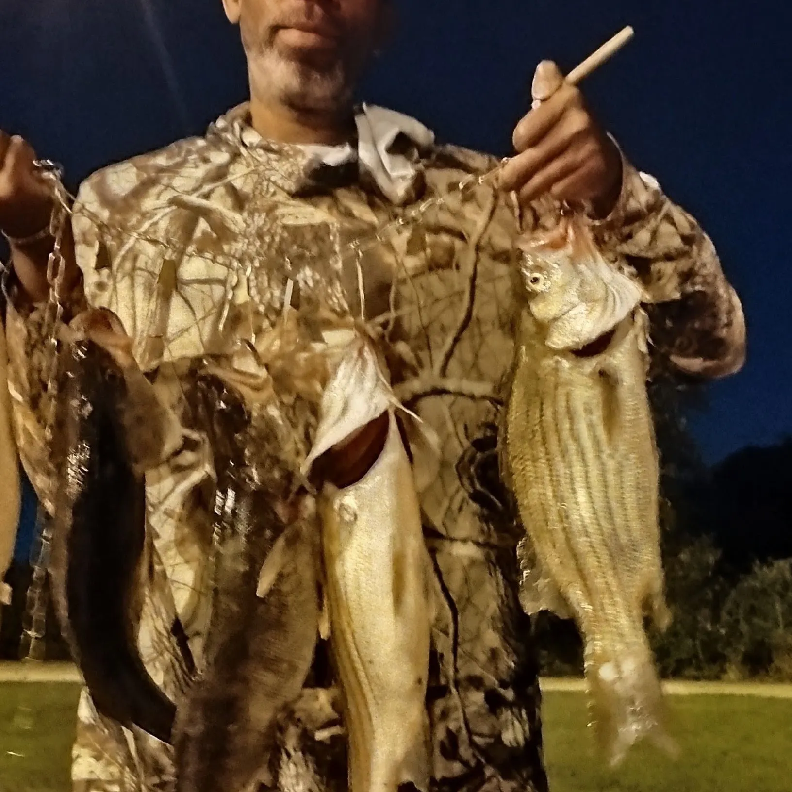 Wiper caught on Fishbrain