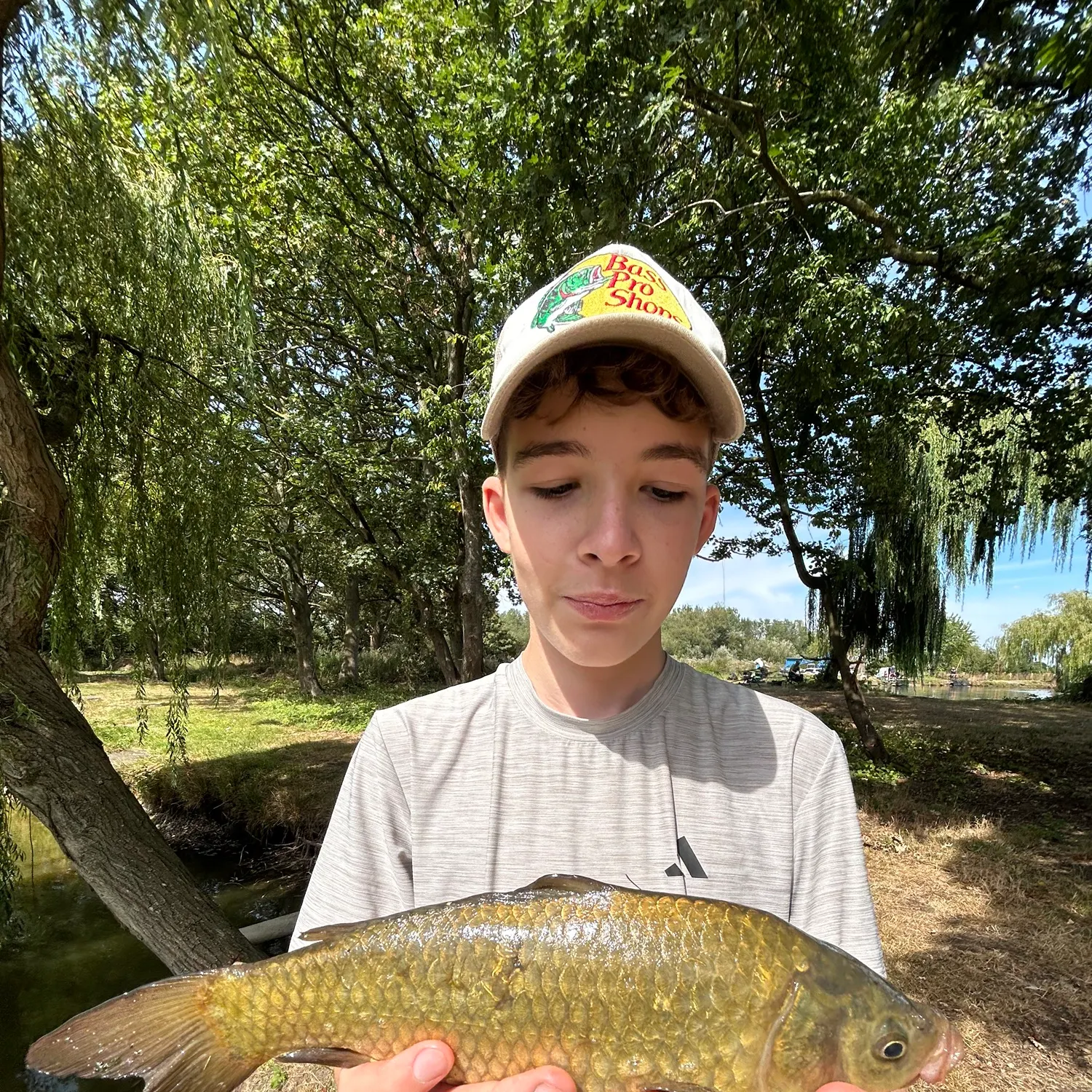 Common carp caught on Fishbrain