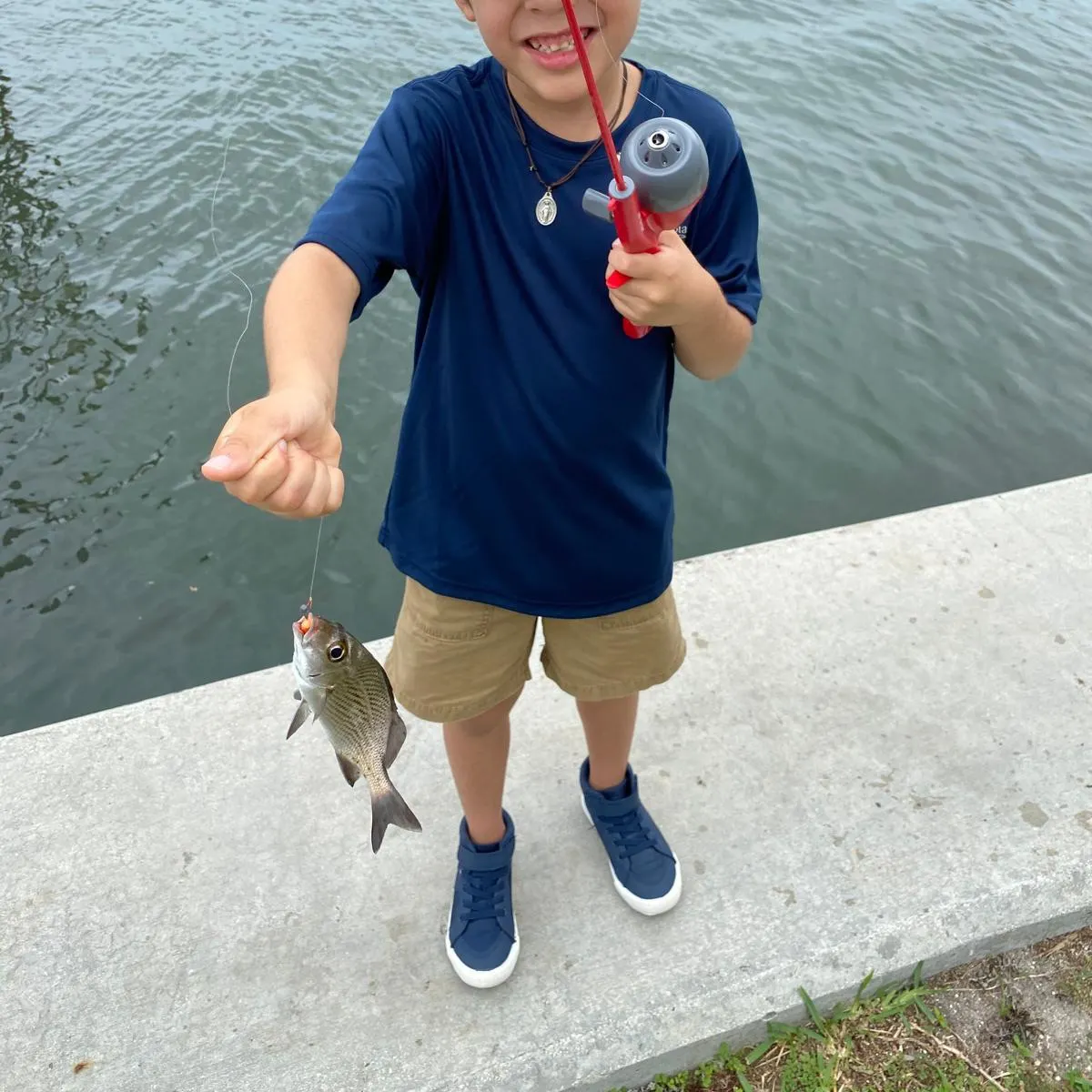 Sailor's choice grunt caught on Fishbrain
