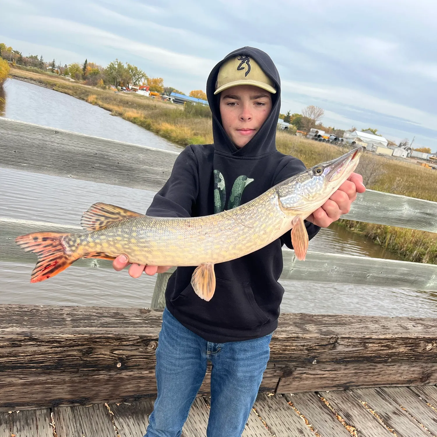 Northern pike caught on Fishbrain