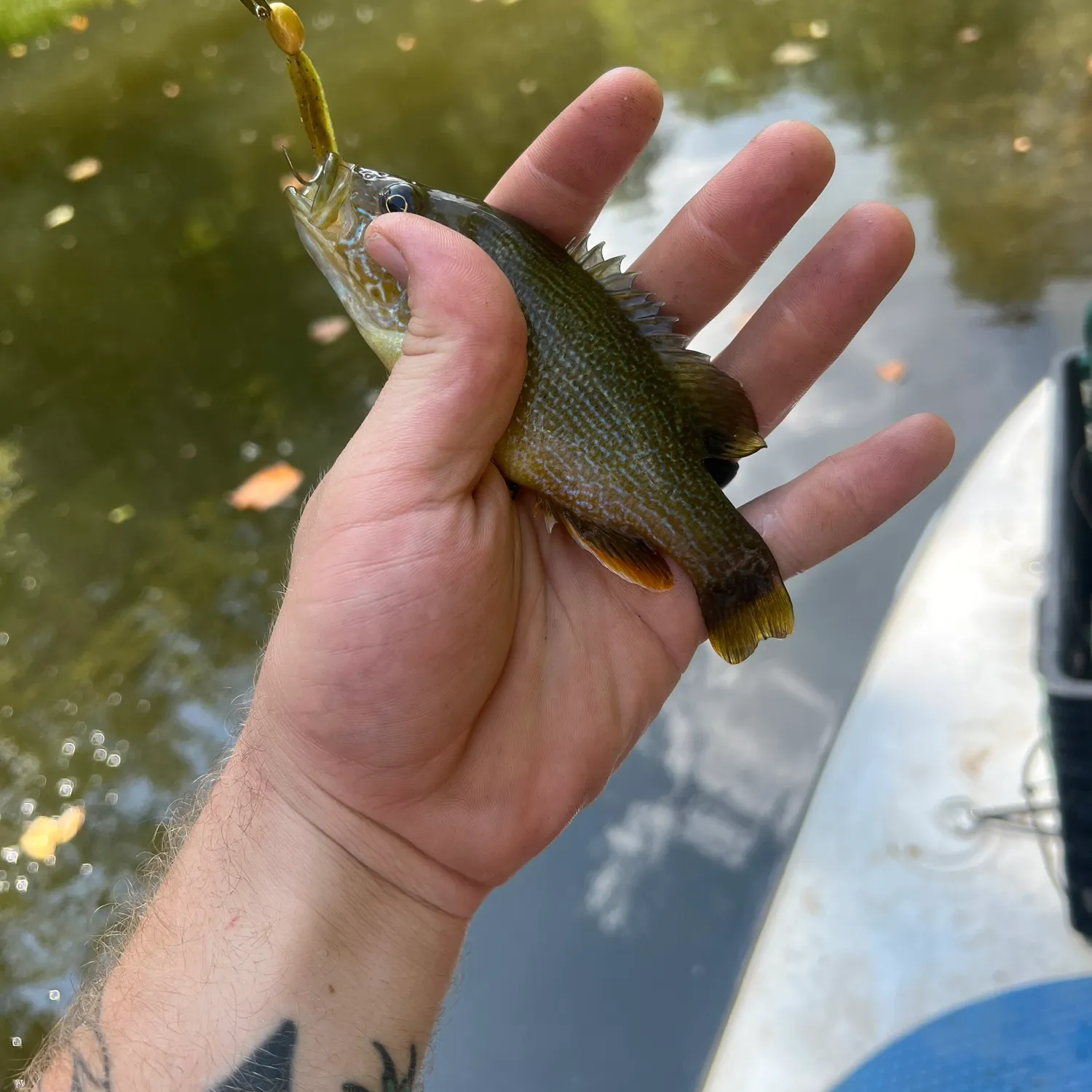 catch