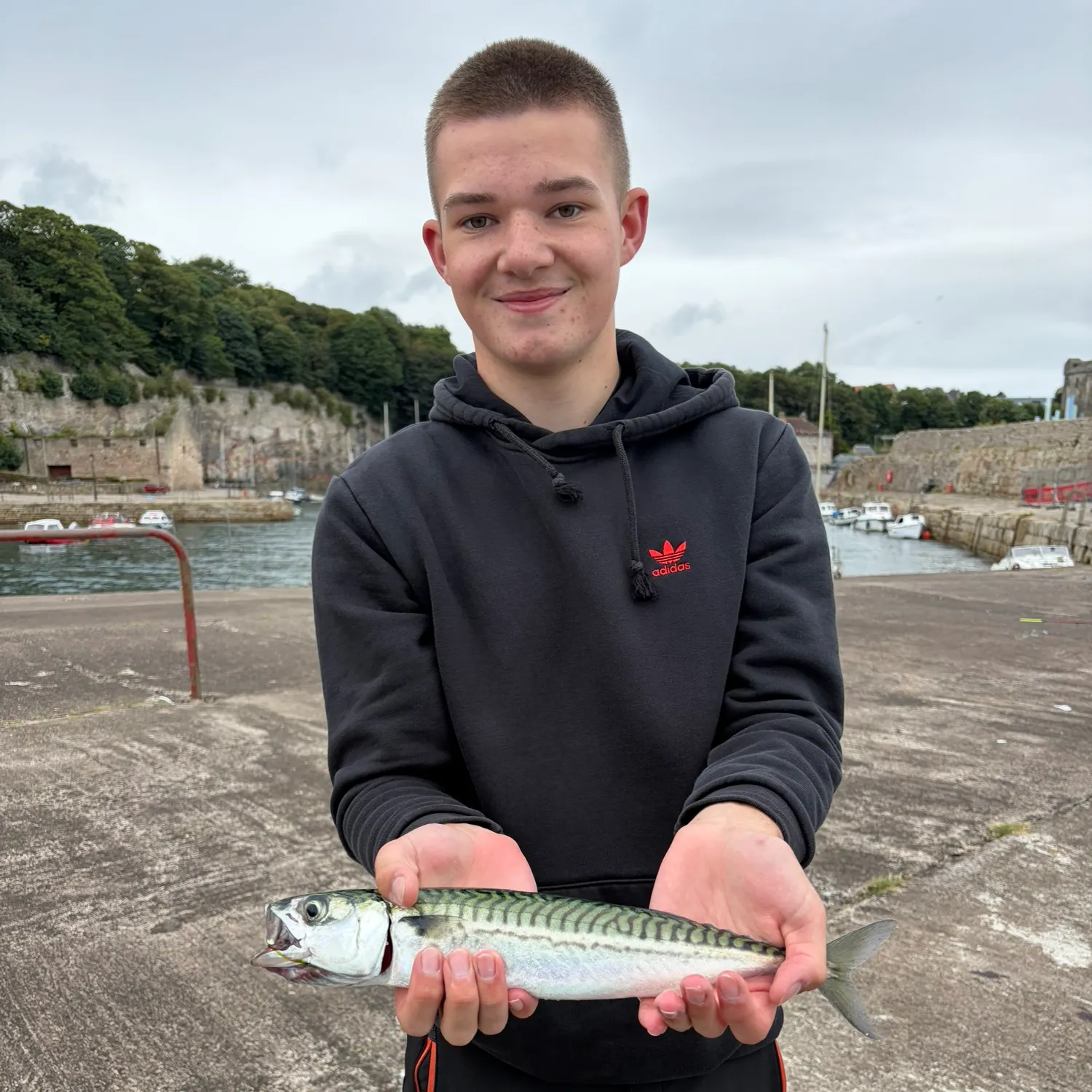 Atlantic mackerel caught on Fishbrain