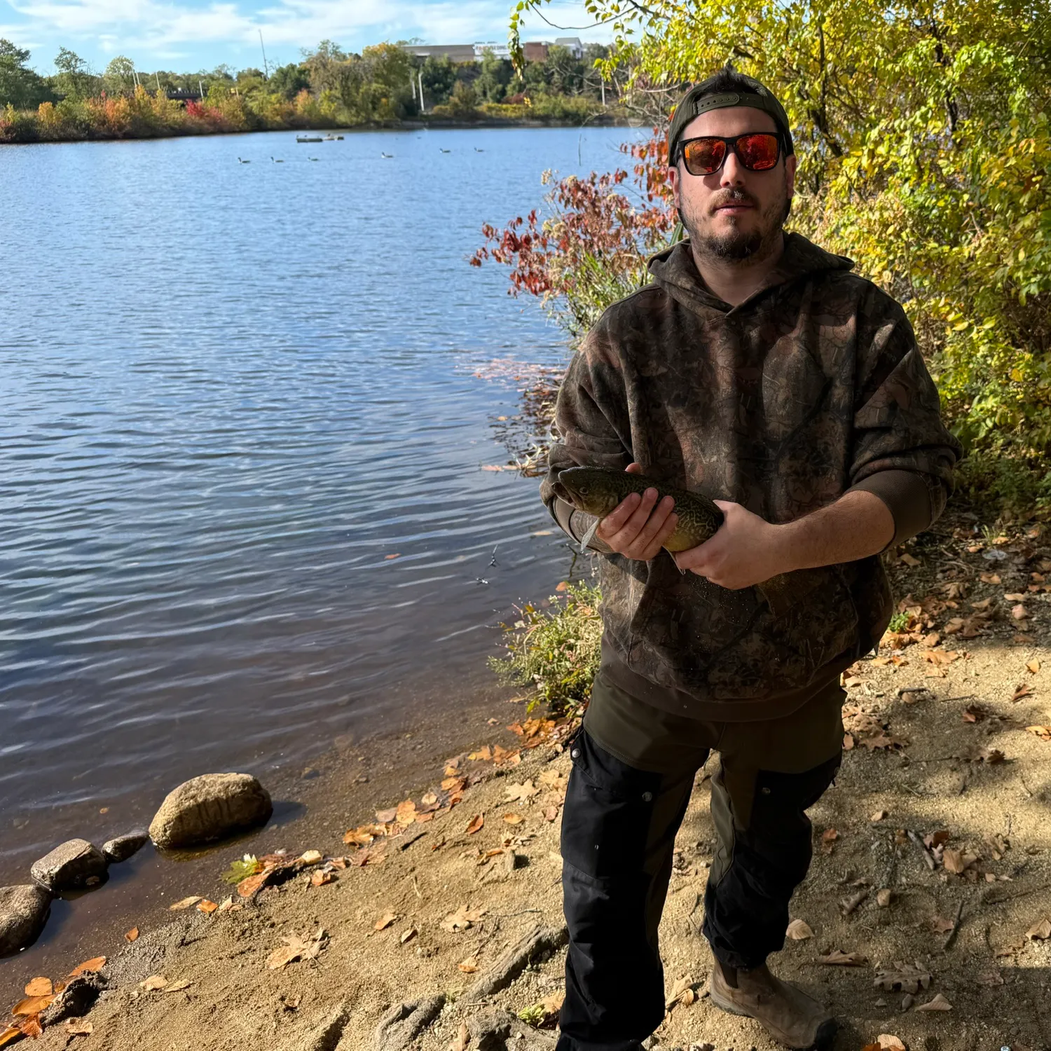 Tiger trout caught on Fishbrain